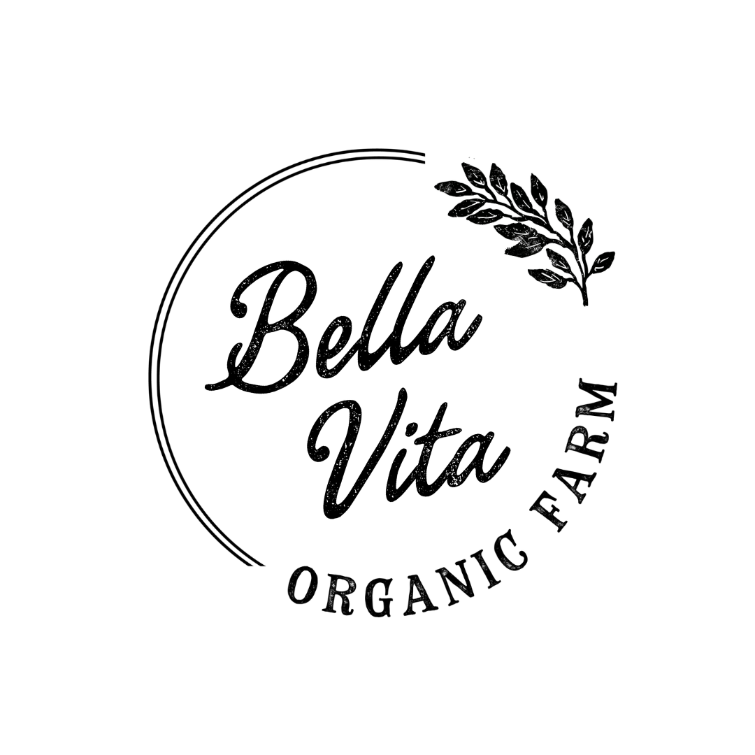 Silhouette of a tree branch with leaves at night, with a small group of stars in the sky.