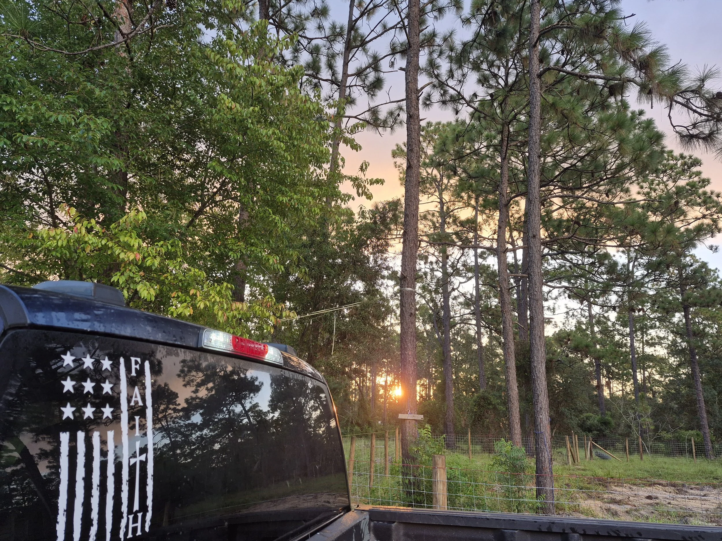 Sunset sky with tall pine trees, part of a vehicle's rear where stickers are visible, including star and stripe designs, reflecting the natural outdoor scene.