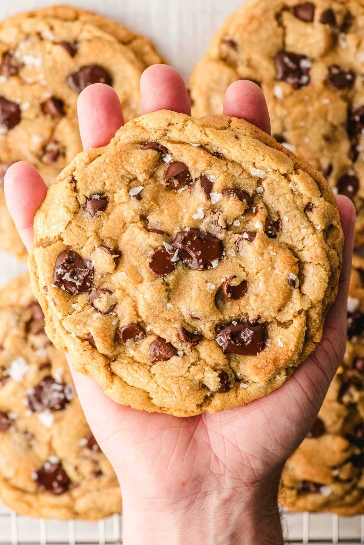 bakery-style-chocolate-chip-cookies-6.jpg