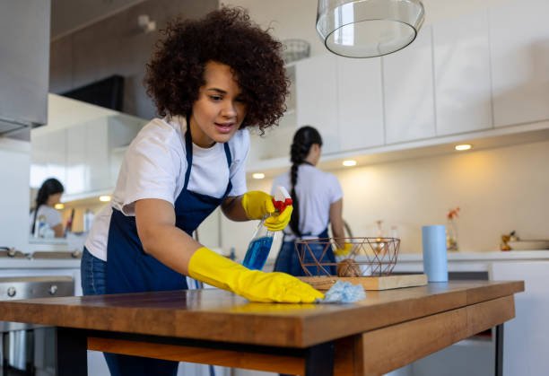 GENERAL CLEANING