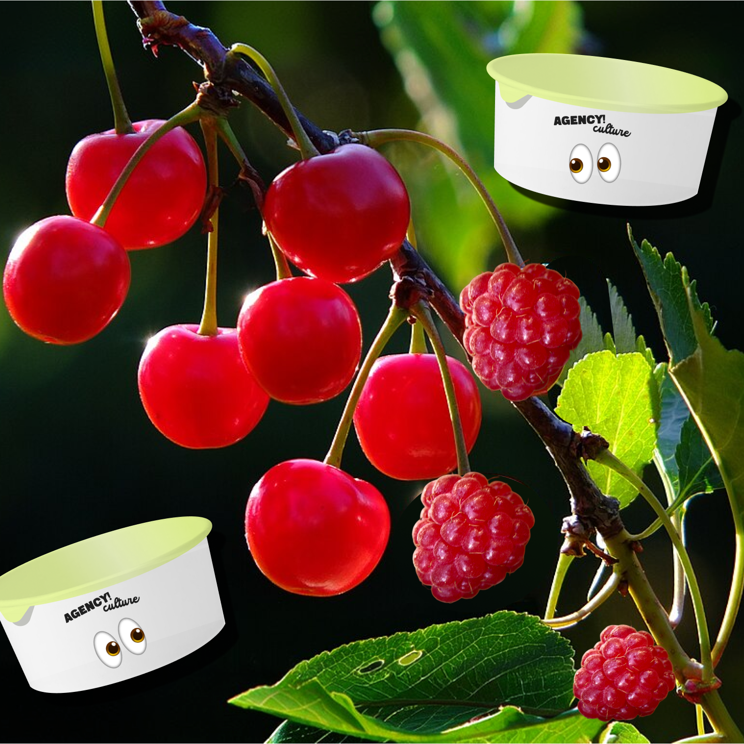 Very Cherry Raspberry, Cup