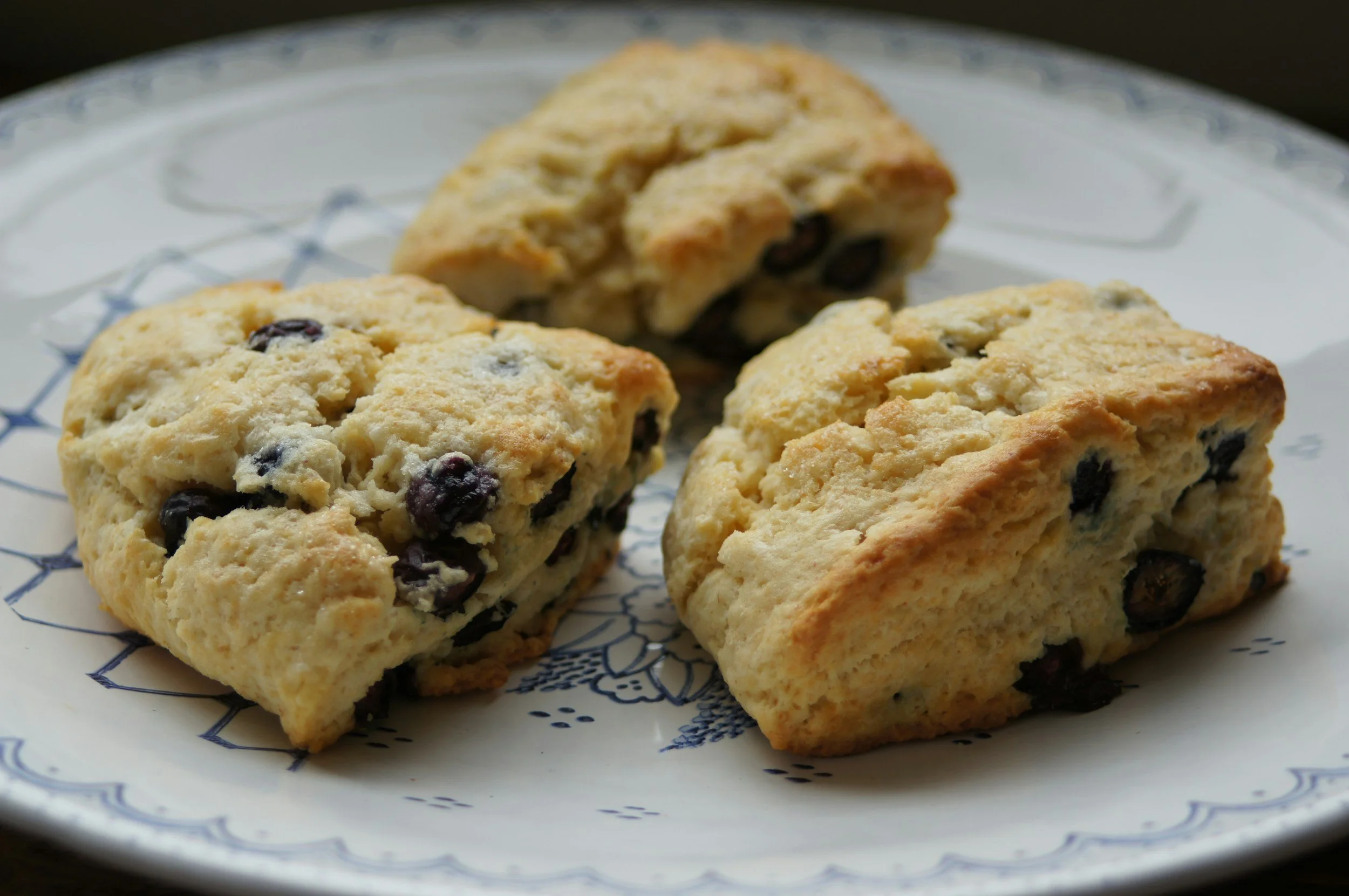 Four blueberry scones on a decorative white plate with blue pattern.