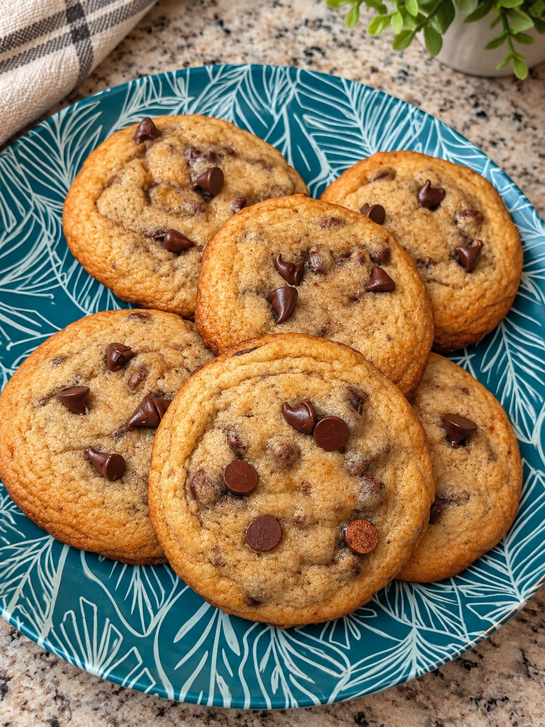 A blue plate with white leaf pattern holds eight chocolate chip cookies on a speckled countertop.