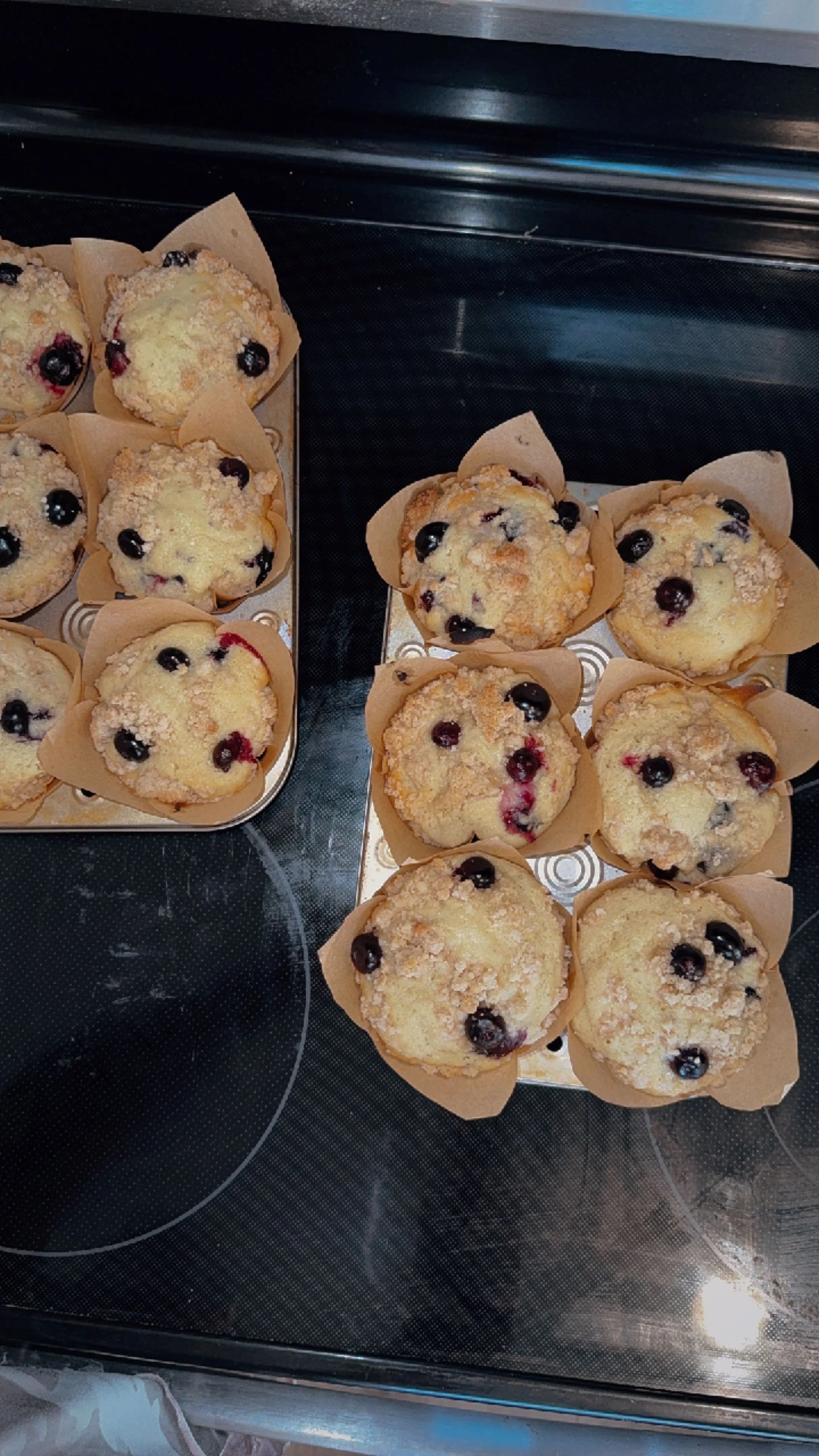 A tray of blueberry muffins on an oven's stovetop, lined with paper muffin cups