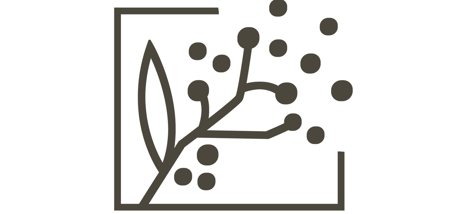 BLACKWATTLE FINANCE