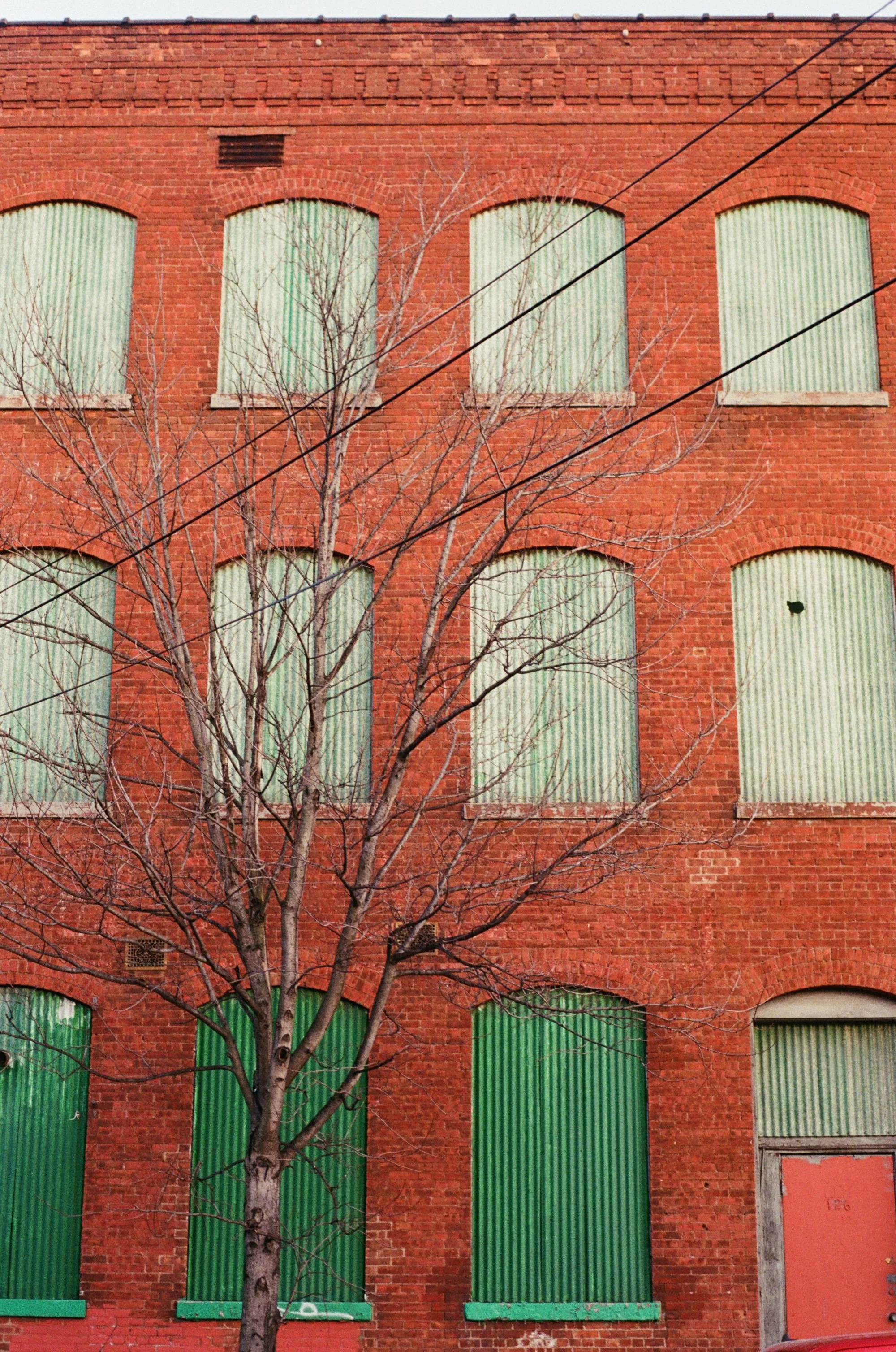 kodak_400_c_41_27486_119993_269354_000003540033.jpg