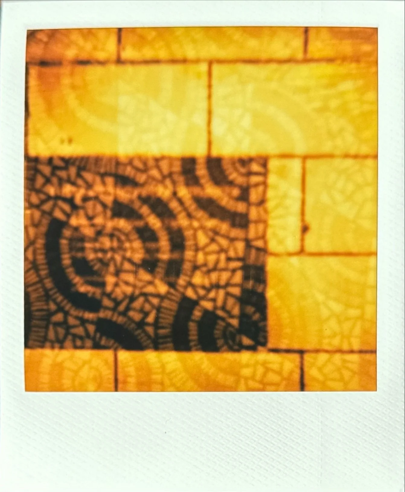 IMG_8830.jpeg