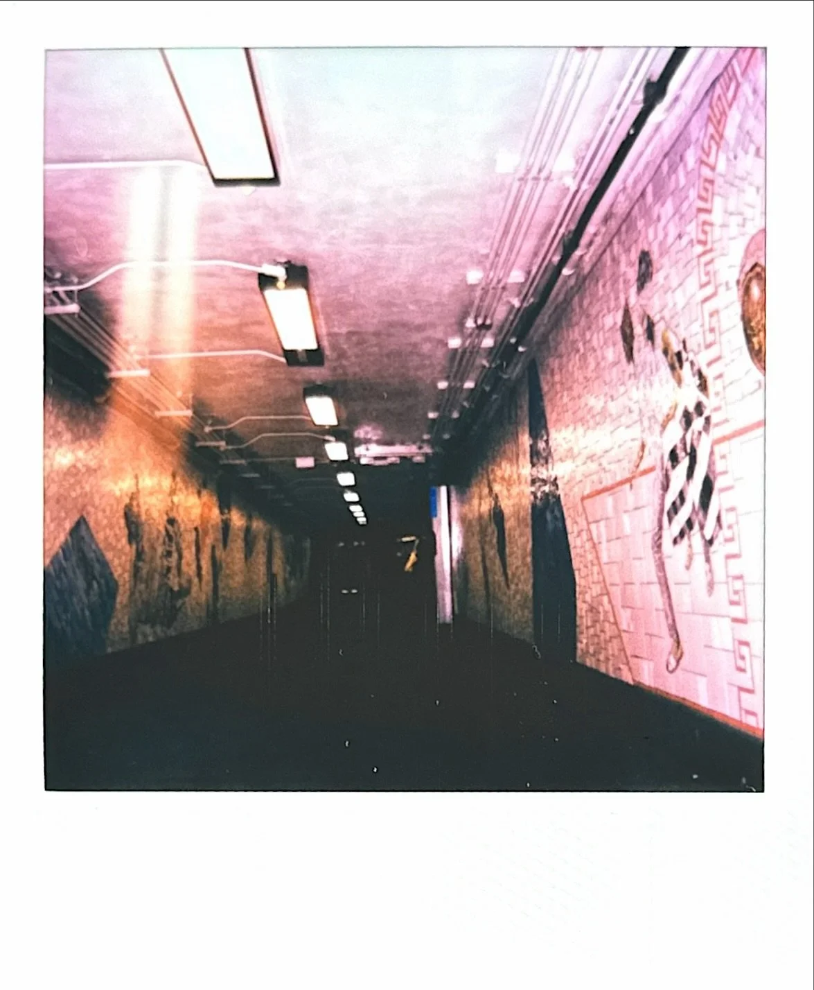 IMG_8831.jpeg