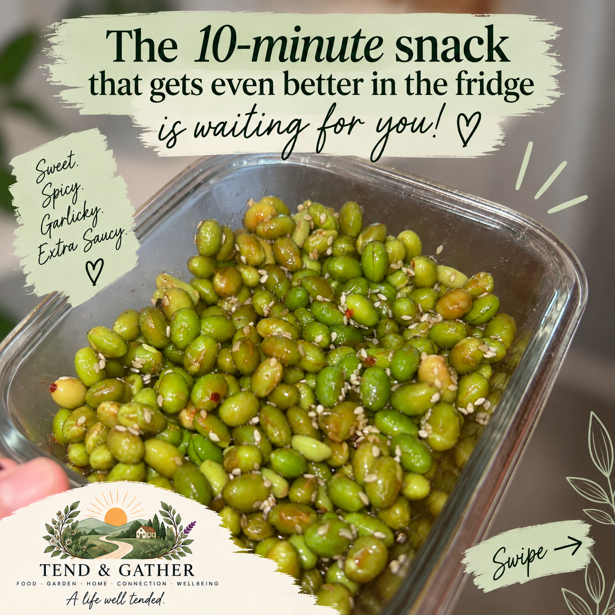 Edamame One.png