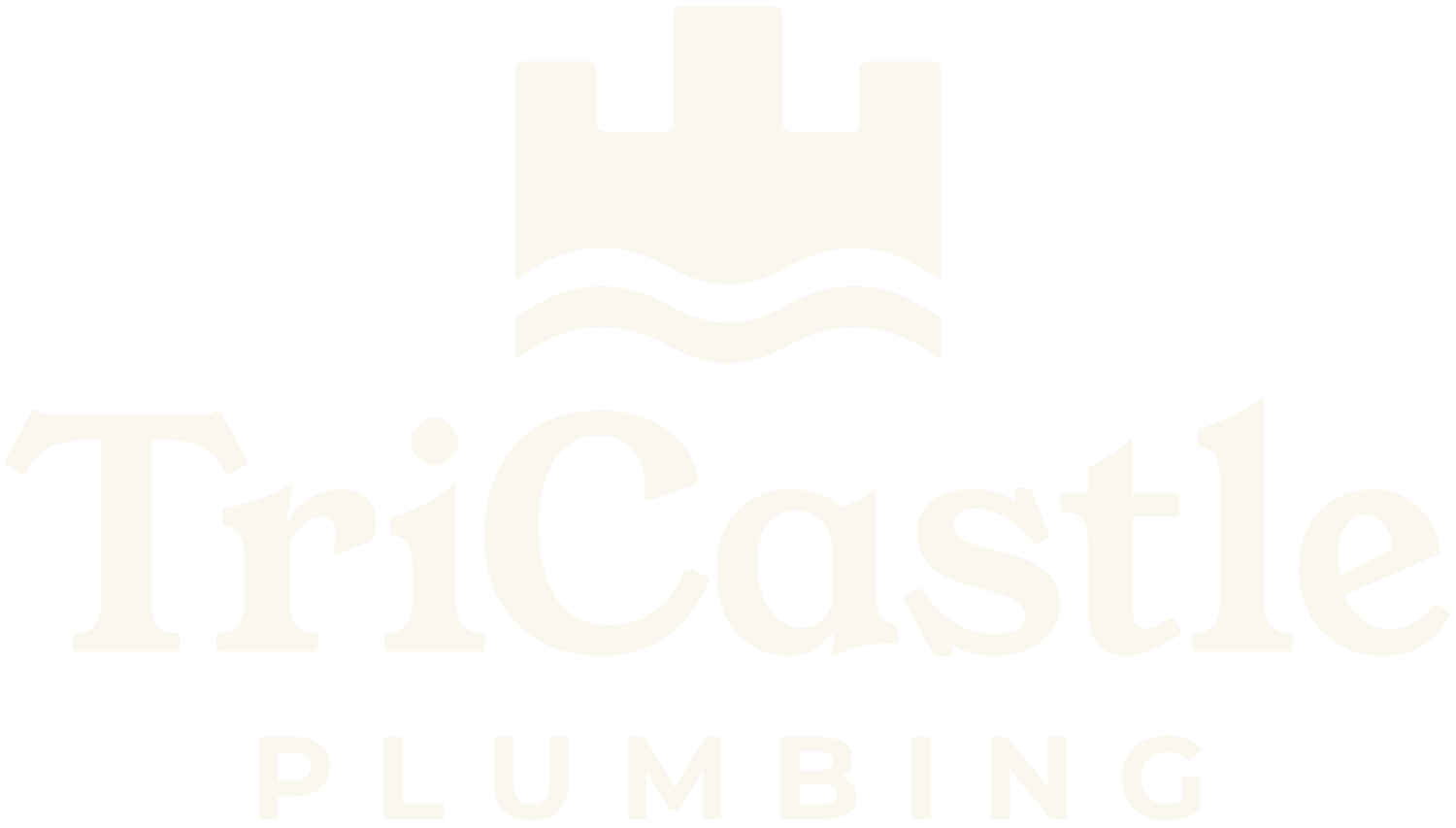 Tricastle Plumbing | Plumbing, Gas &amp; Heating in the Central Okanagan