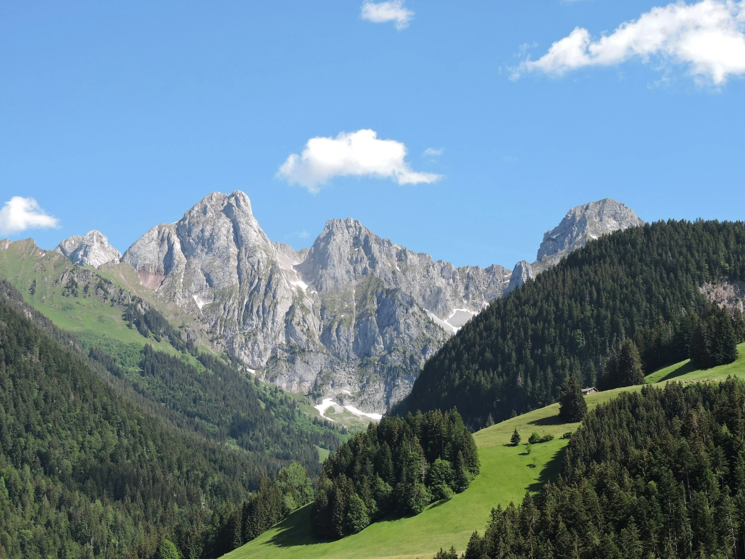 A mountainous landscape with jagged rocky peaks and a valley covered in lush green trees and grass, under a blue sky with a few white clouds.