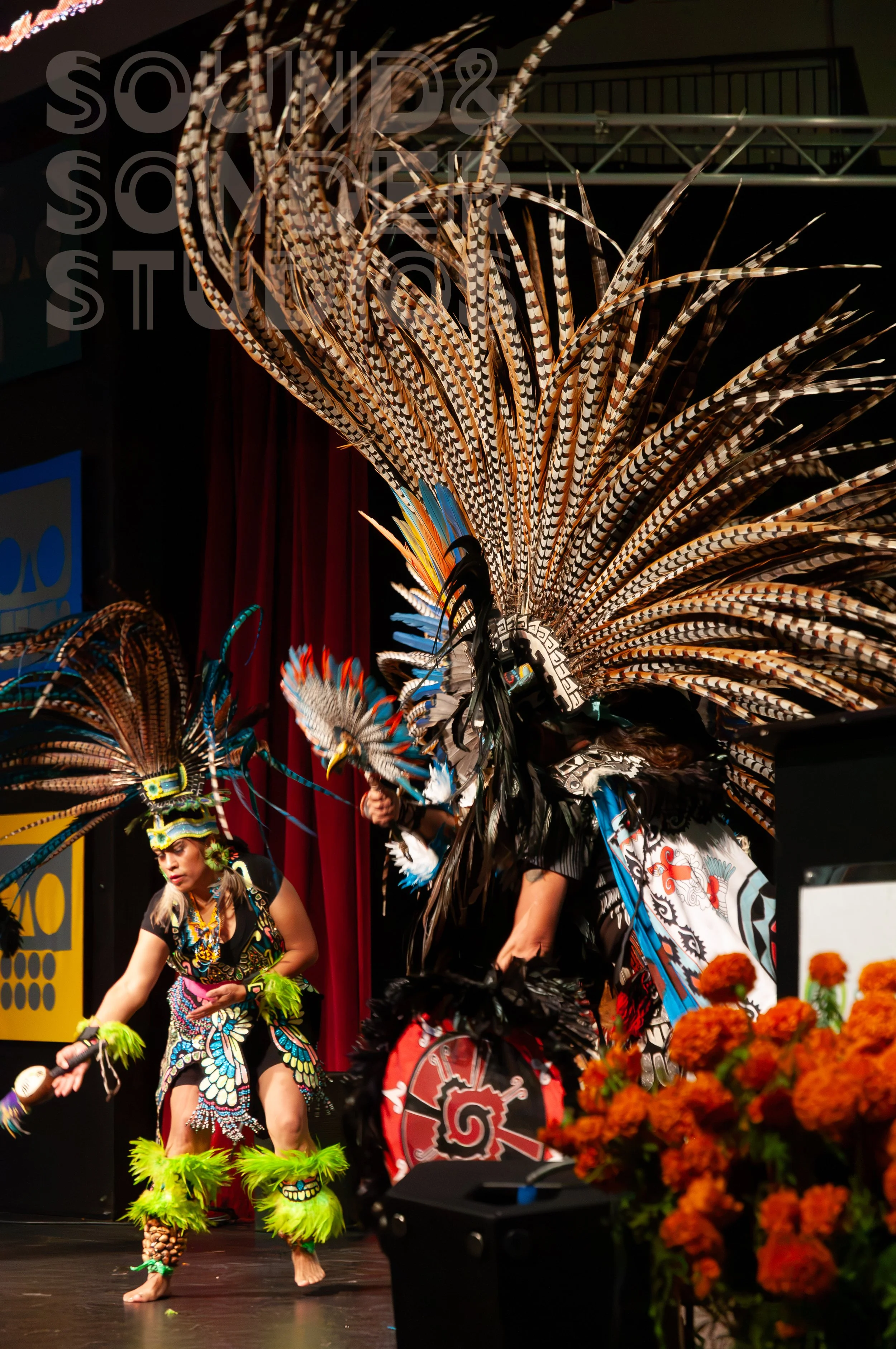 A performer wearing a large feathered headdress with black, white, and orange striped feathers, traditional indigenous clothing, and neon green feathered leg accessories, dancing on stage during a cultural event.