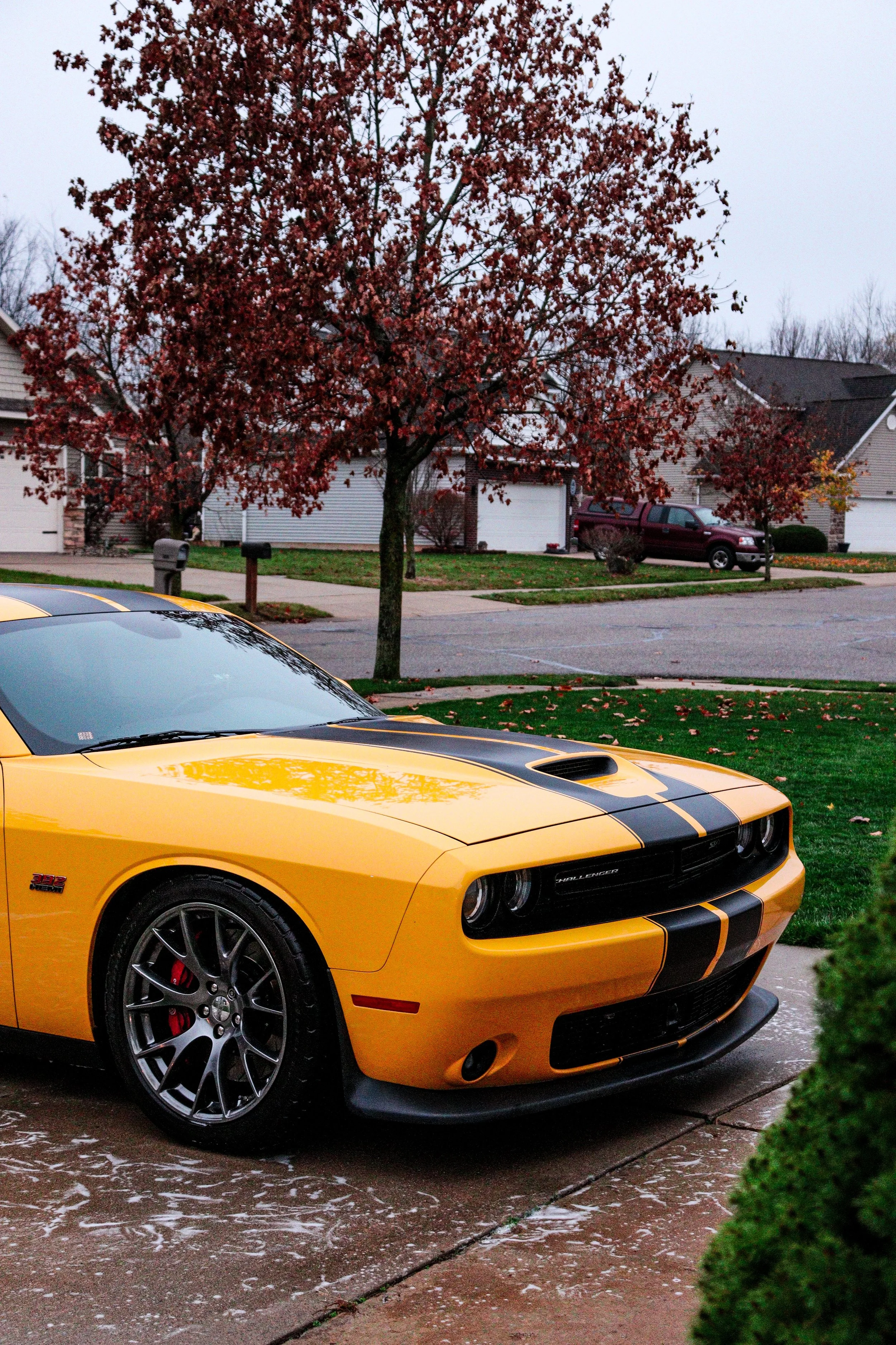 Dodge Challenger after a deep exterior rim cleanings and wash