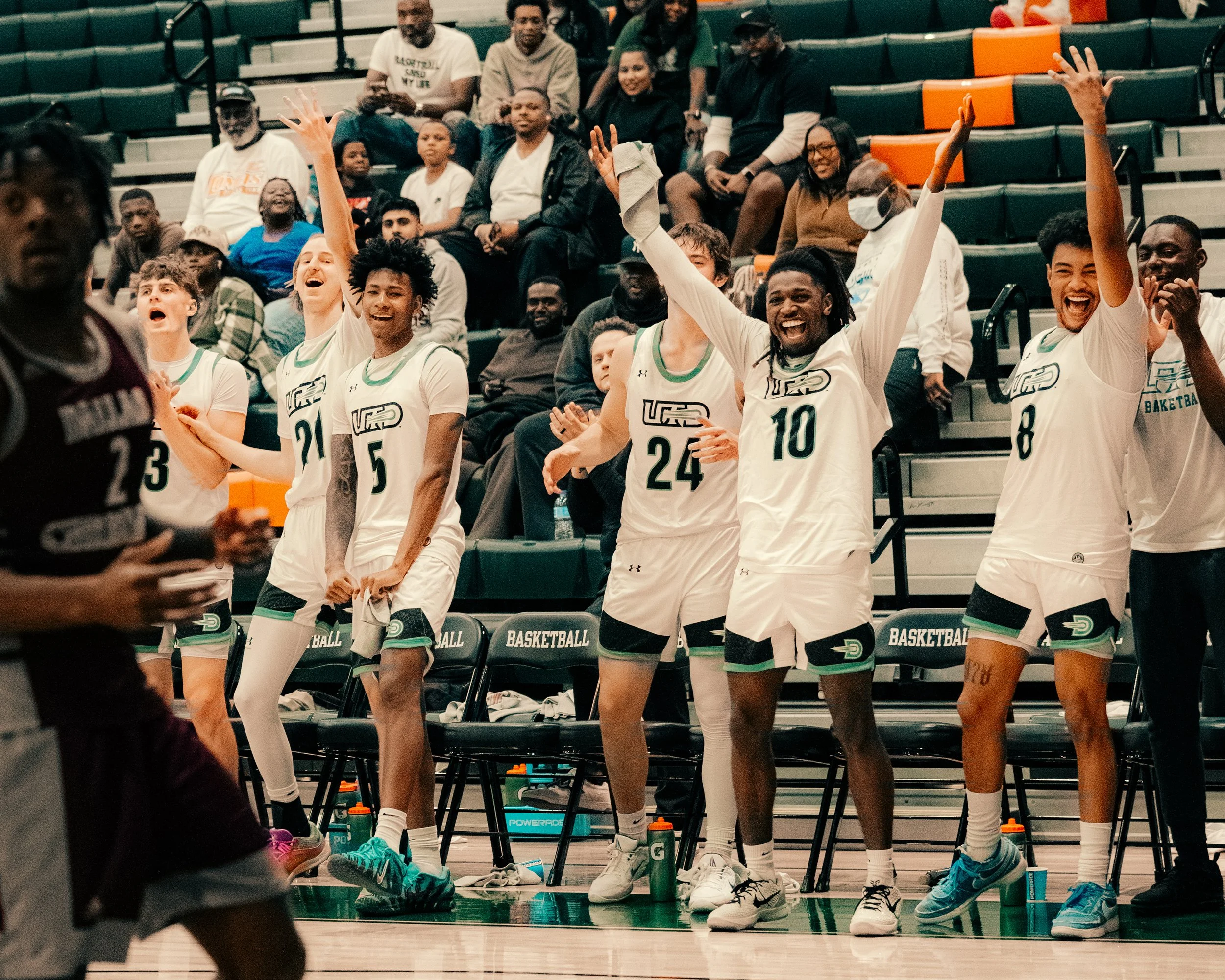 A group of basketball players in white jerseys with green accents celebrating on the sidelines of a basketball court while their fans look on from the bleachers.