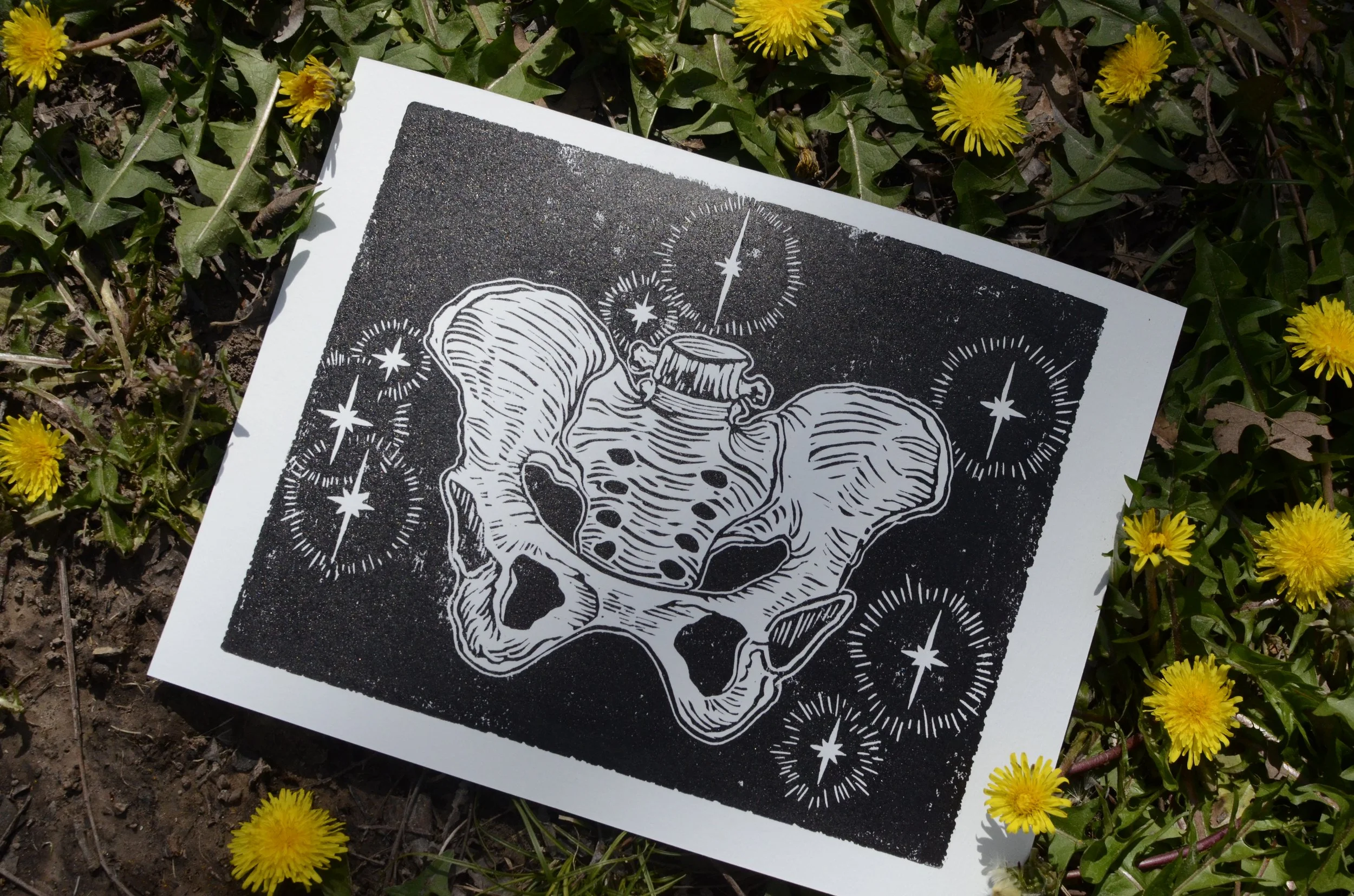 A black and white illustration of a skull within the outline of a flower, set against a black background with white star-like patterns around it. The illustration is placed on the ground surrounded by yellow dandelion flowers and green leaves.