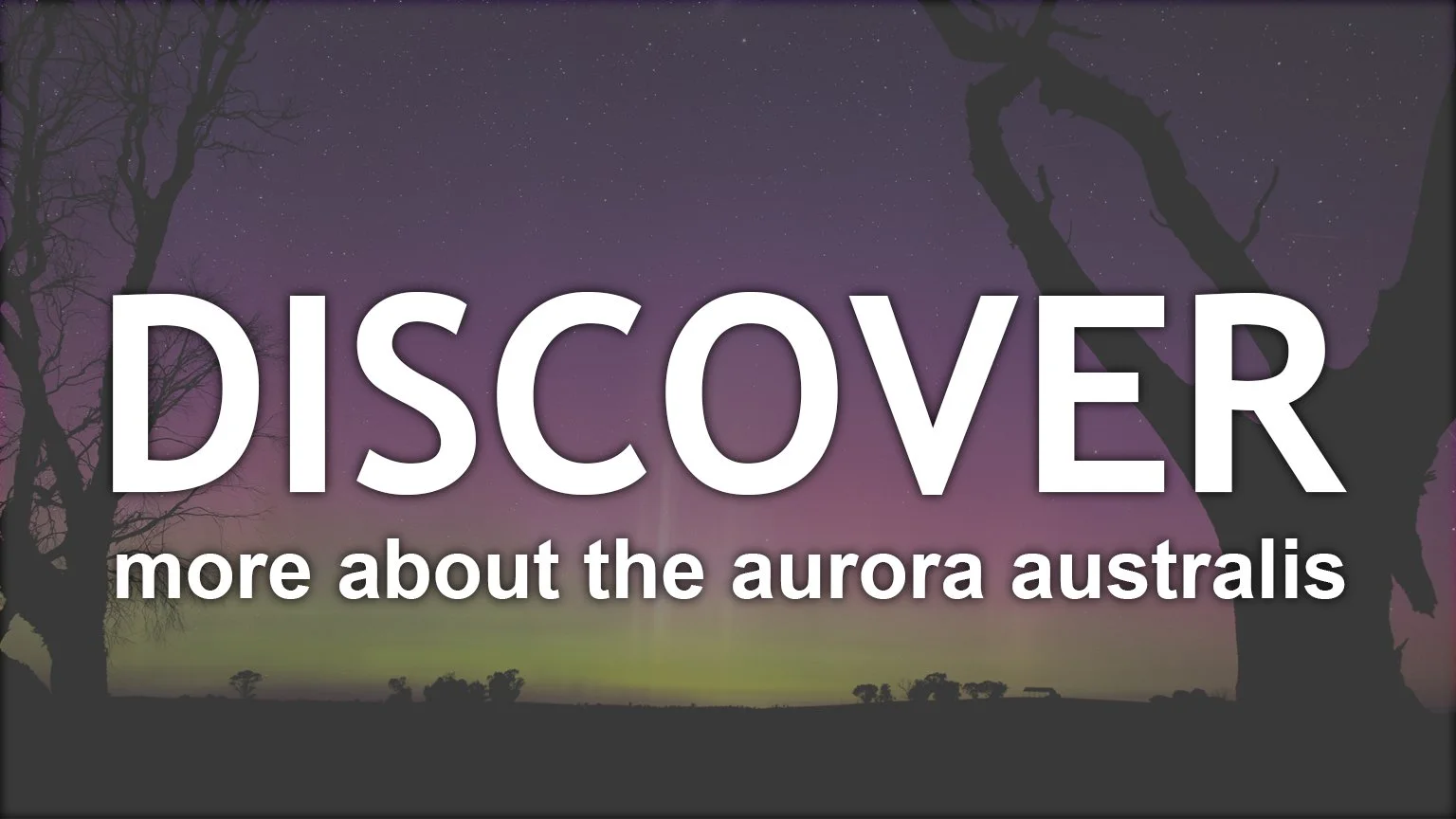 Discover Button V2.jpg