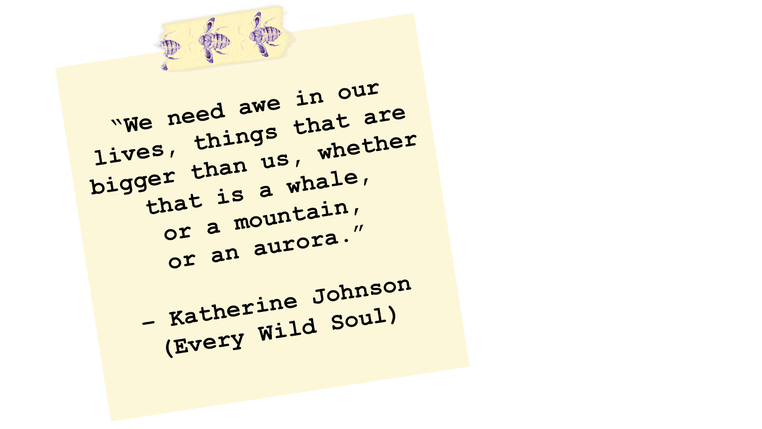 Quote V8.png