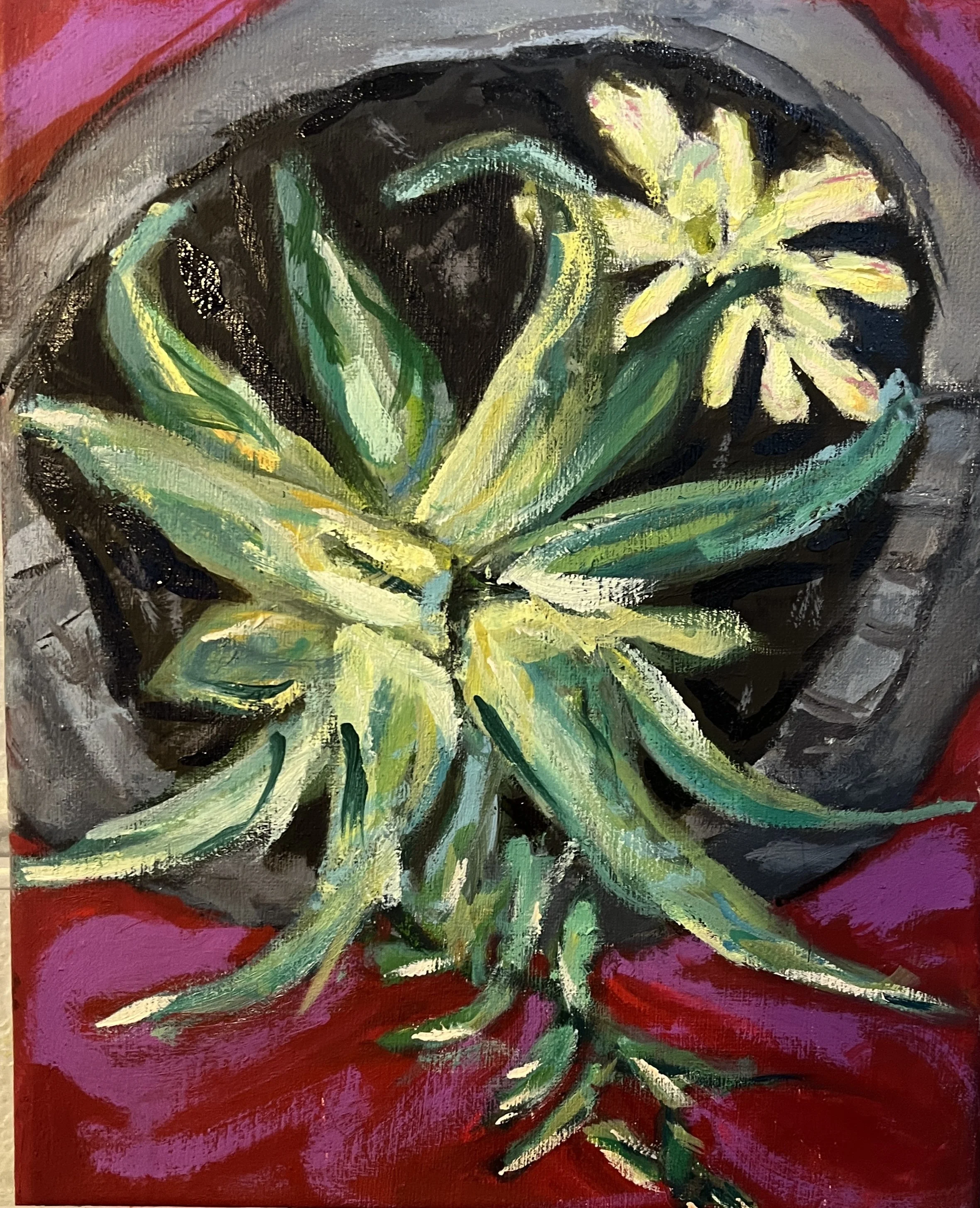 Succulent, Oil on Canvas, 8" X 10"