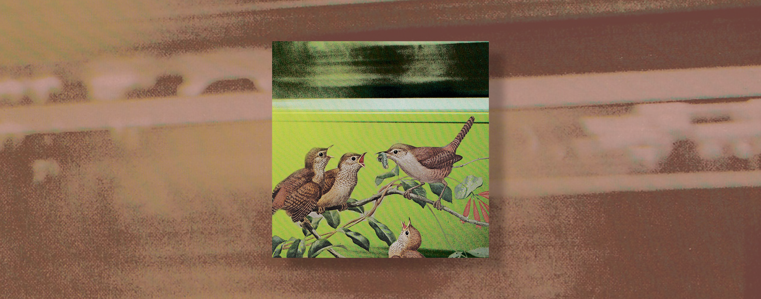 “Morning Birds” single artwork by The Hardly Nevers, featuring an illustrated group of birds perched on a branch.