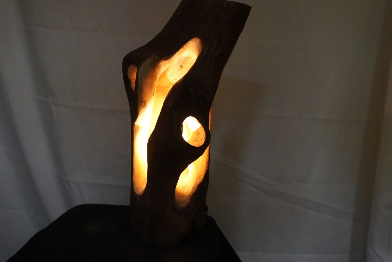 4-tronco-tallado-encendida.jpg