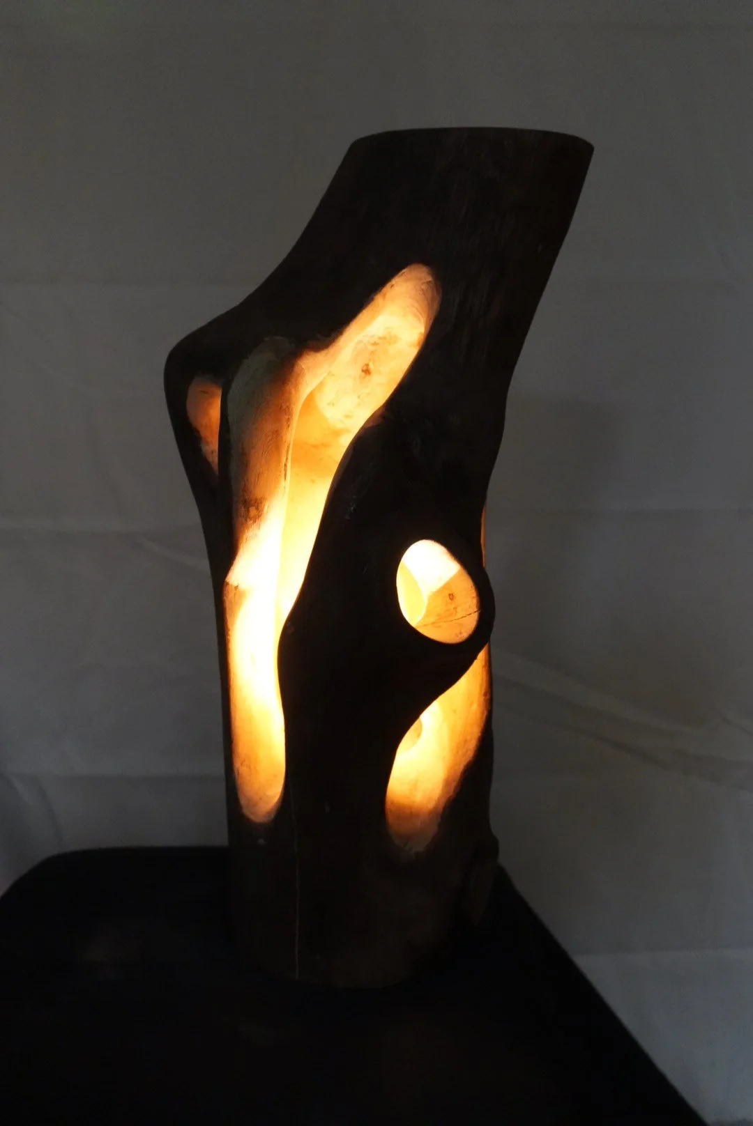 4-tronco-tallado-encendida-vertical.jpg