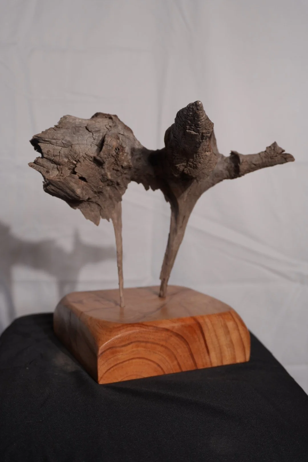 3-pajaro-otro-lado-vertical.jpg