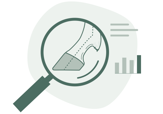 Illustration representing analysis of horse hoof measurements and balance results.