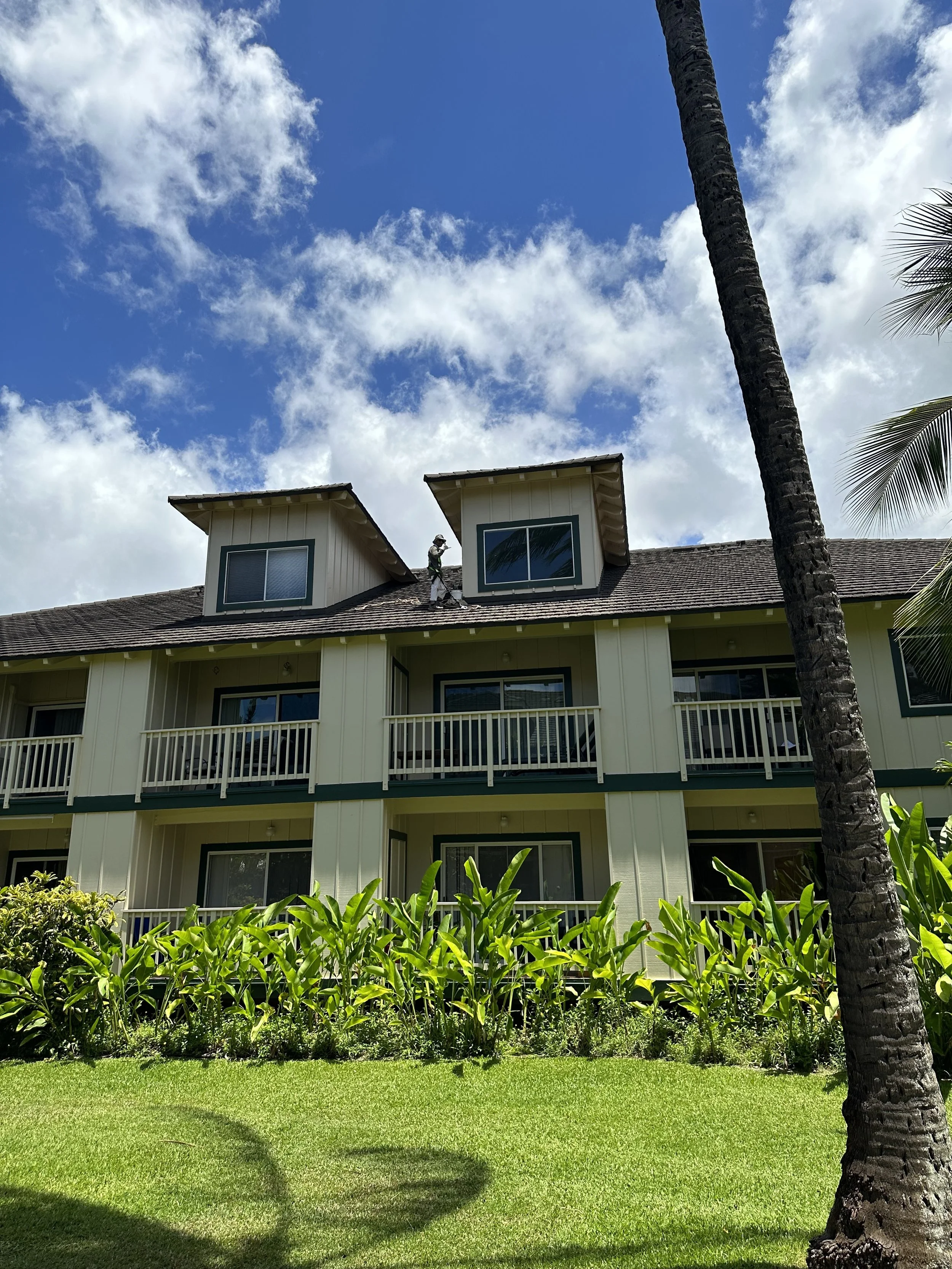 Complete exterior repaint and restoration on a condo complex in Poipu, Kauai, HI
