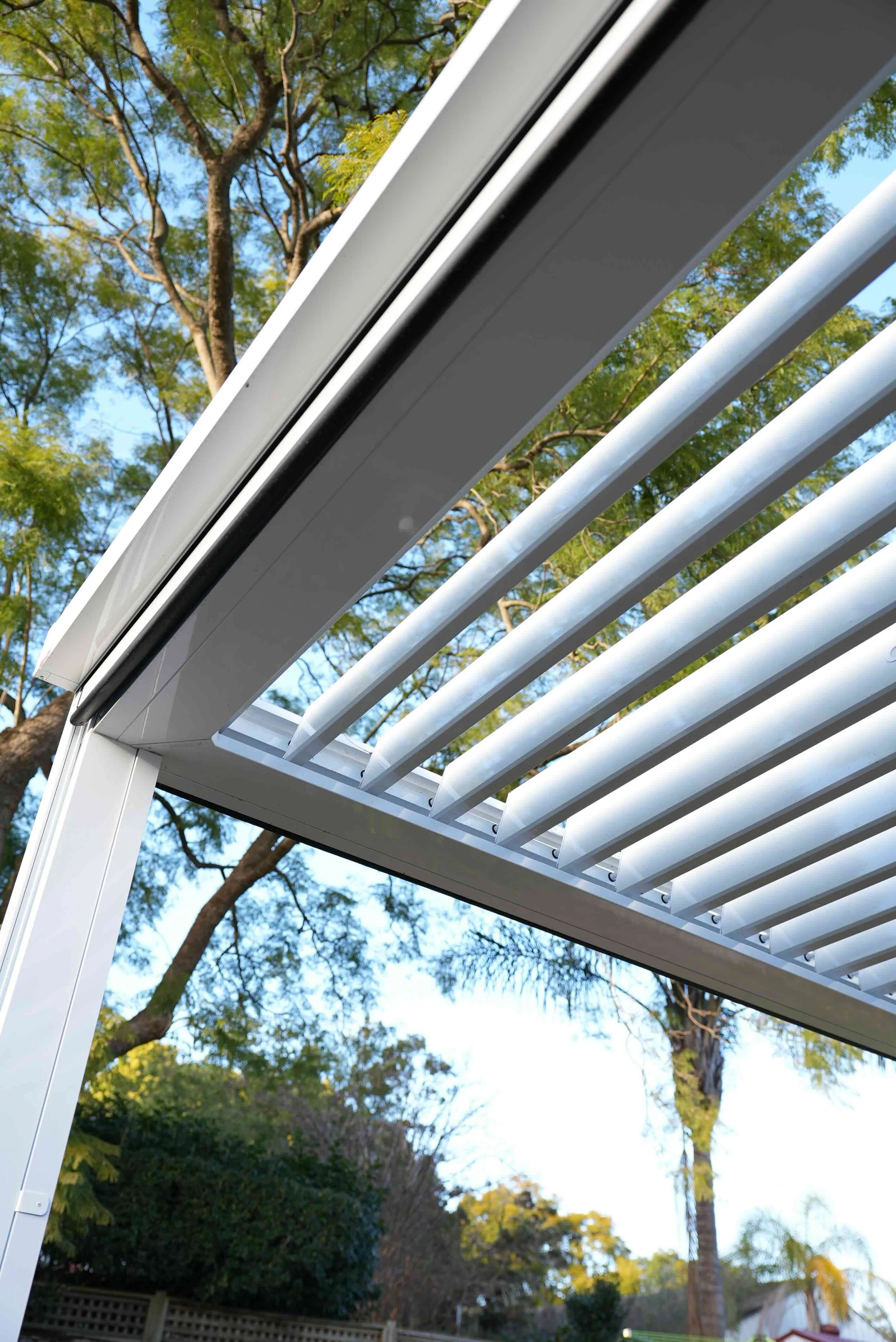 Looking up through white horizontal window blinds with a black screen in the gap, against a backdrop of tall tree branches and green leaves, blue sky, and distant trees.