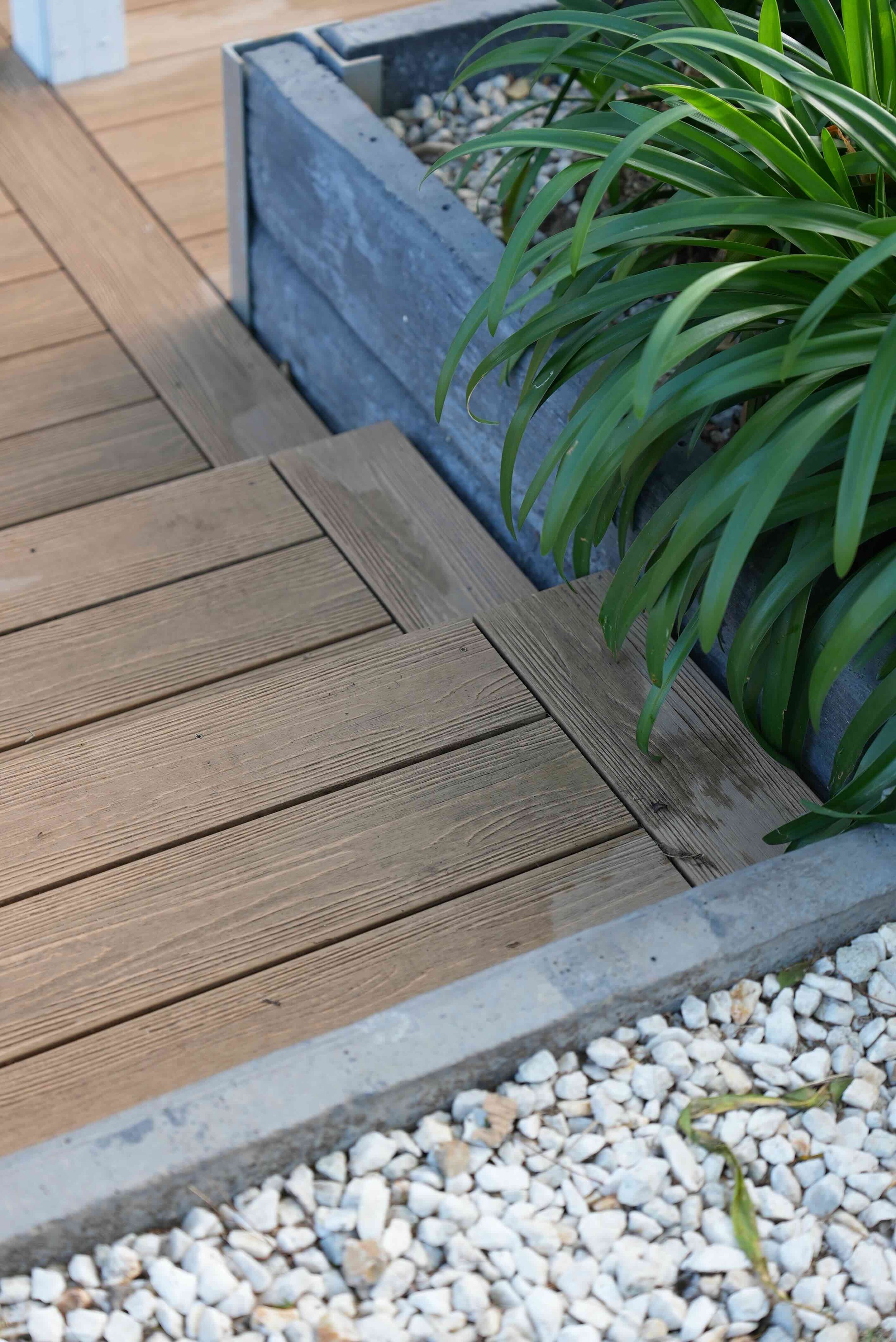 Close-up of a wooden deck with a concrete border and a garden bed filled with small white stones, containing a green leafy plant.