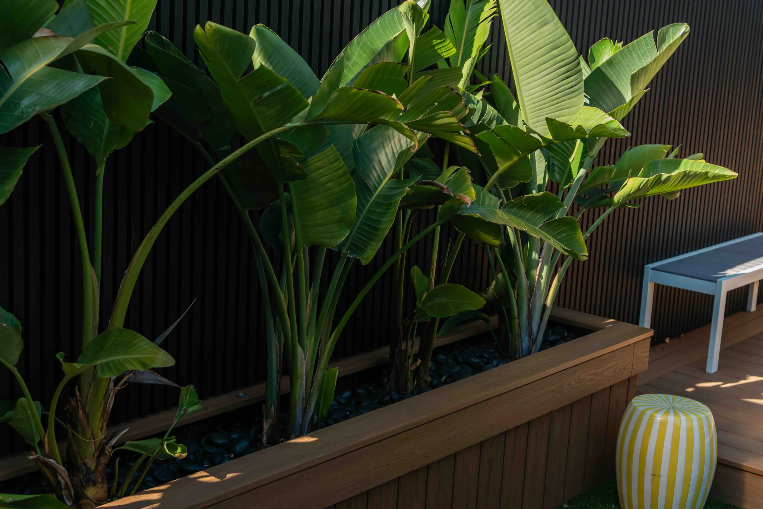 A vertical wooden garden bed with green leafy tropical plants, possibly banana plants, against a black slatted backdrop. Part of a small white table is visible on the right, and a yellow and white striped pouf is in the lower right corner.
