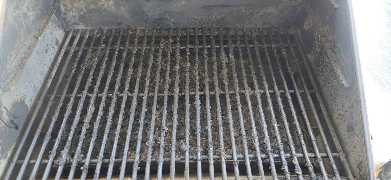 Before  Cooking grates