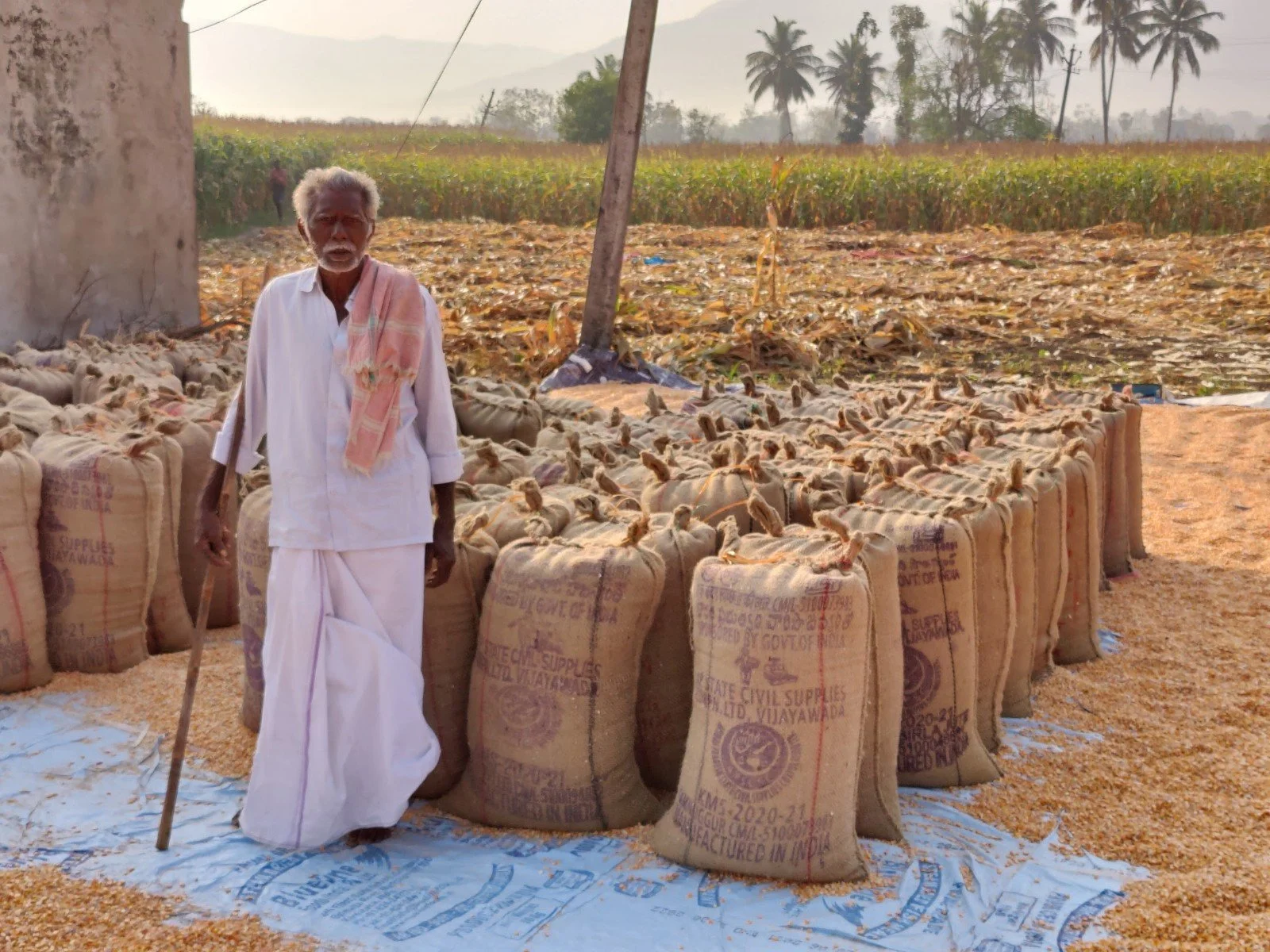 An elderly man with white hair and beard, dressed in traditional white clothing, standing outdoors among large sacks of supplies, with a cornfield and palm trees in the background.