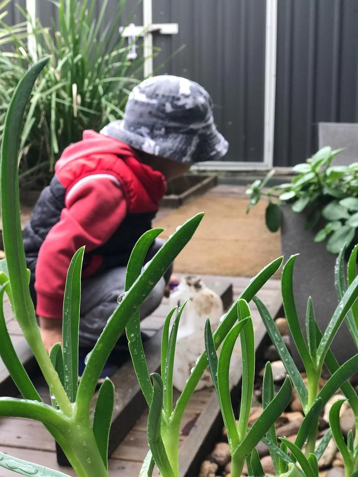 What to Look for in a Small, Boutique Childcare Centre
