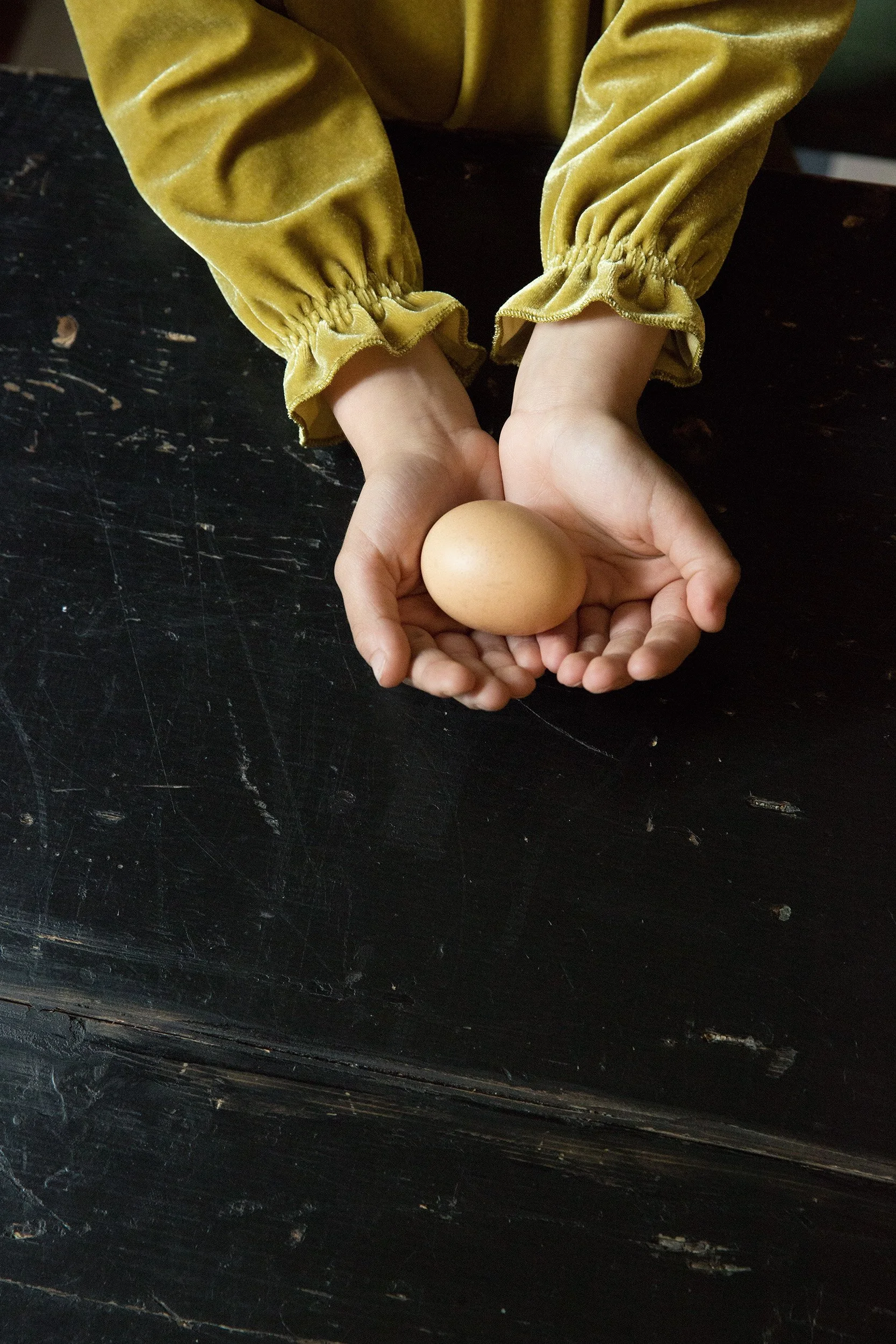 Child's hands holding an egg on a dark black wooden table