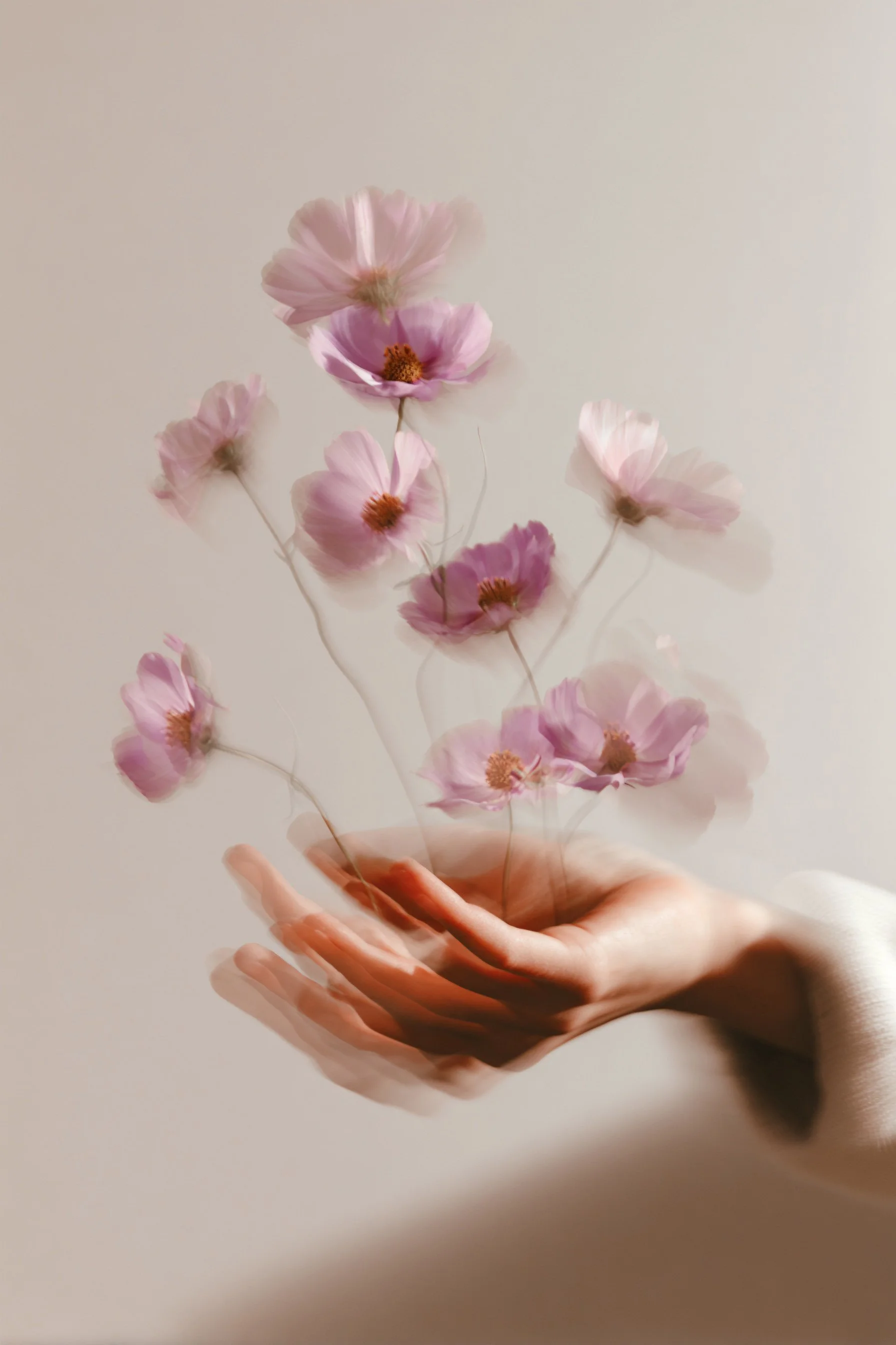 Hand holding pink cosmos flowers in motion. AI-generated image.