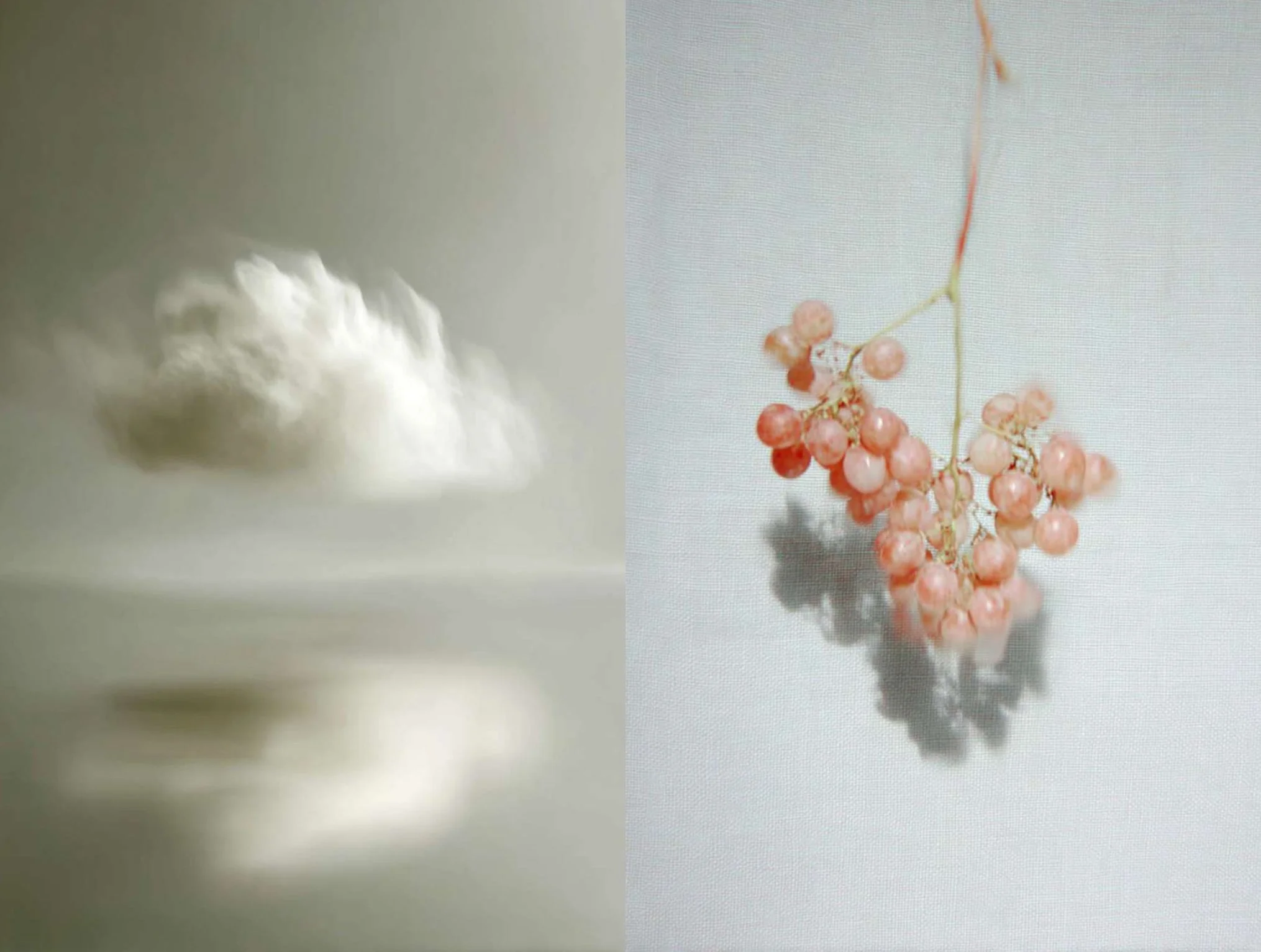 Diptych: a soft white blurred cloud against a pale ground, and a coral pink grape hanging on a thread over white linen with its shadow — still life, texture and colour, soft daylight. AI generated image.