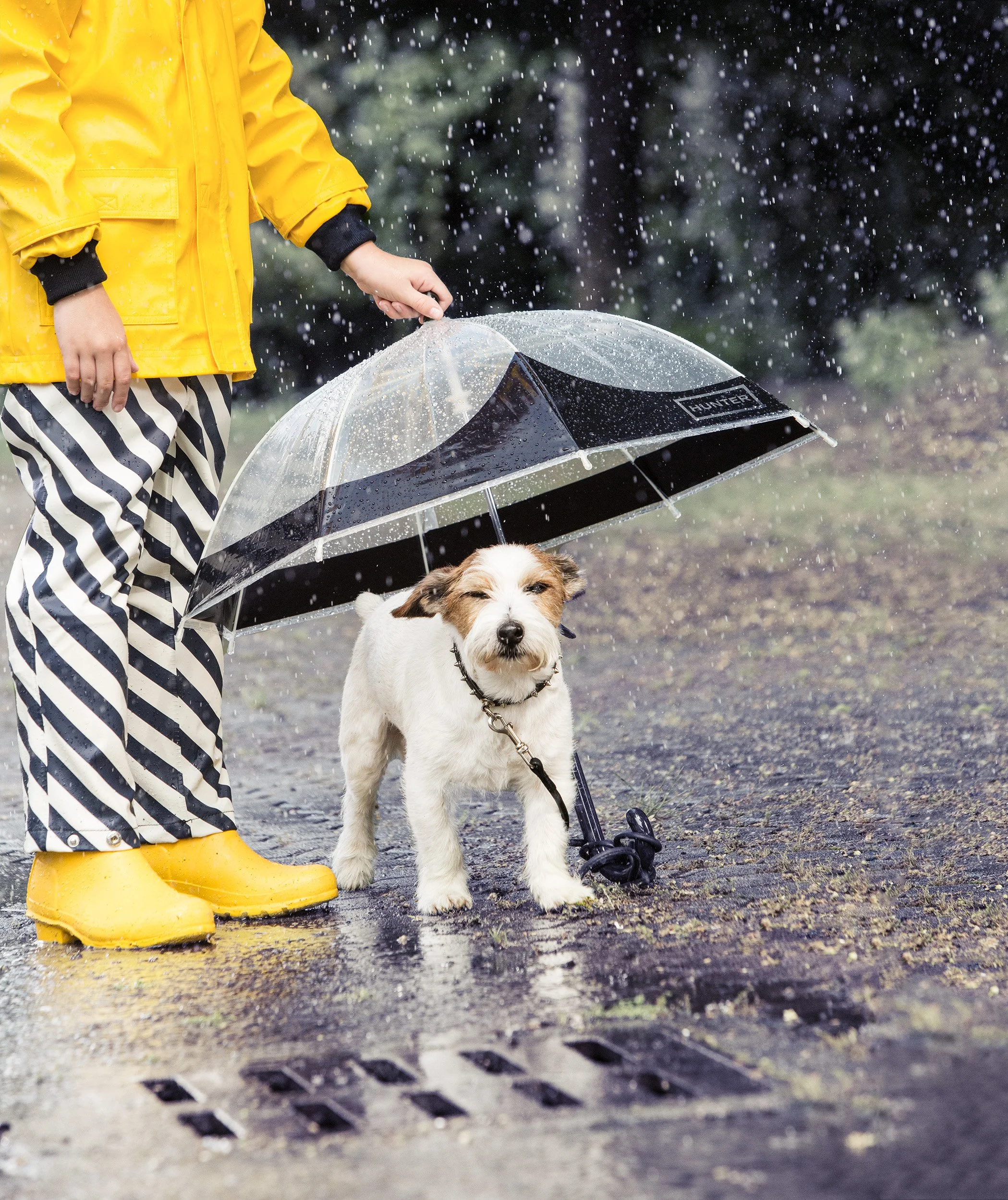 Style Piccoli editorial — yellow raincoat, a clear umbrella and a wet terrier in the rain.