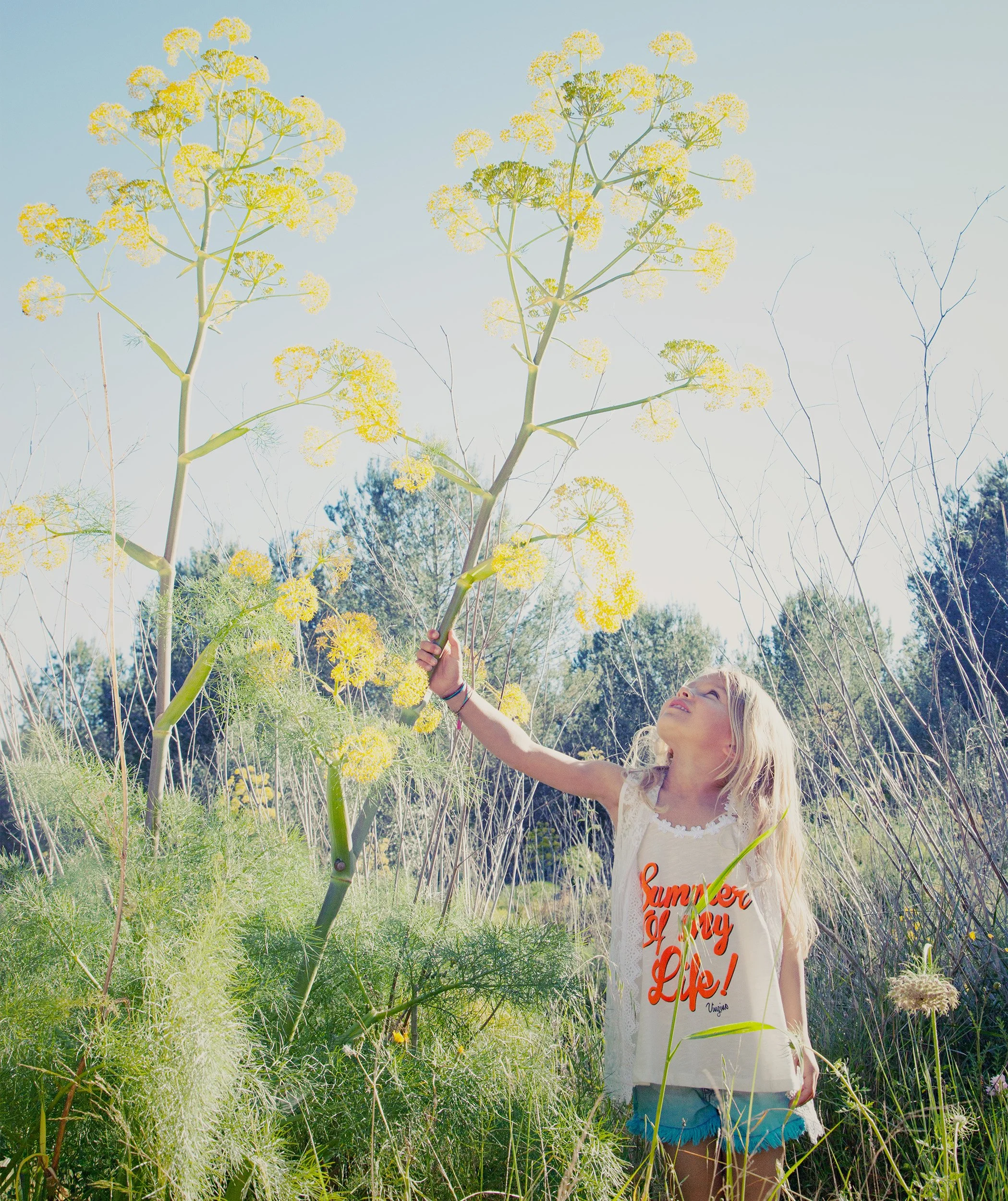 Style Piccoli editorial, girl reaching up into wild fennel in a summer field, Ibiza.