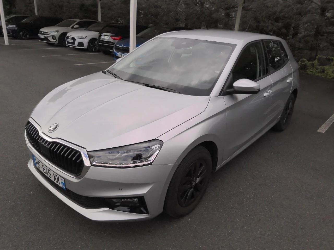 FABIA_HF-645-XX_1.jpg