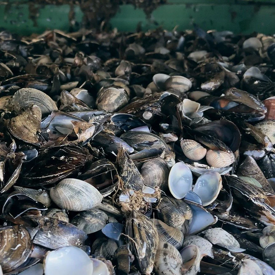 Local Resource / Collective Knowledge (Venice Biennale 2025)