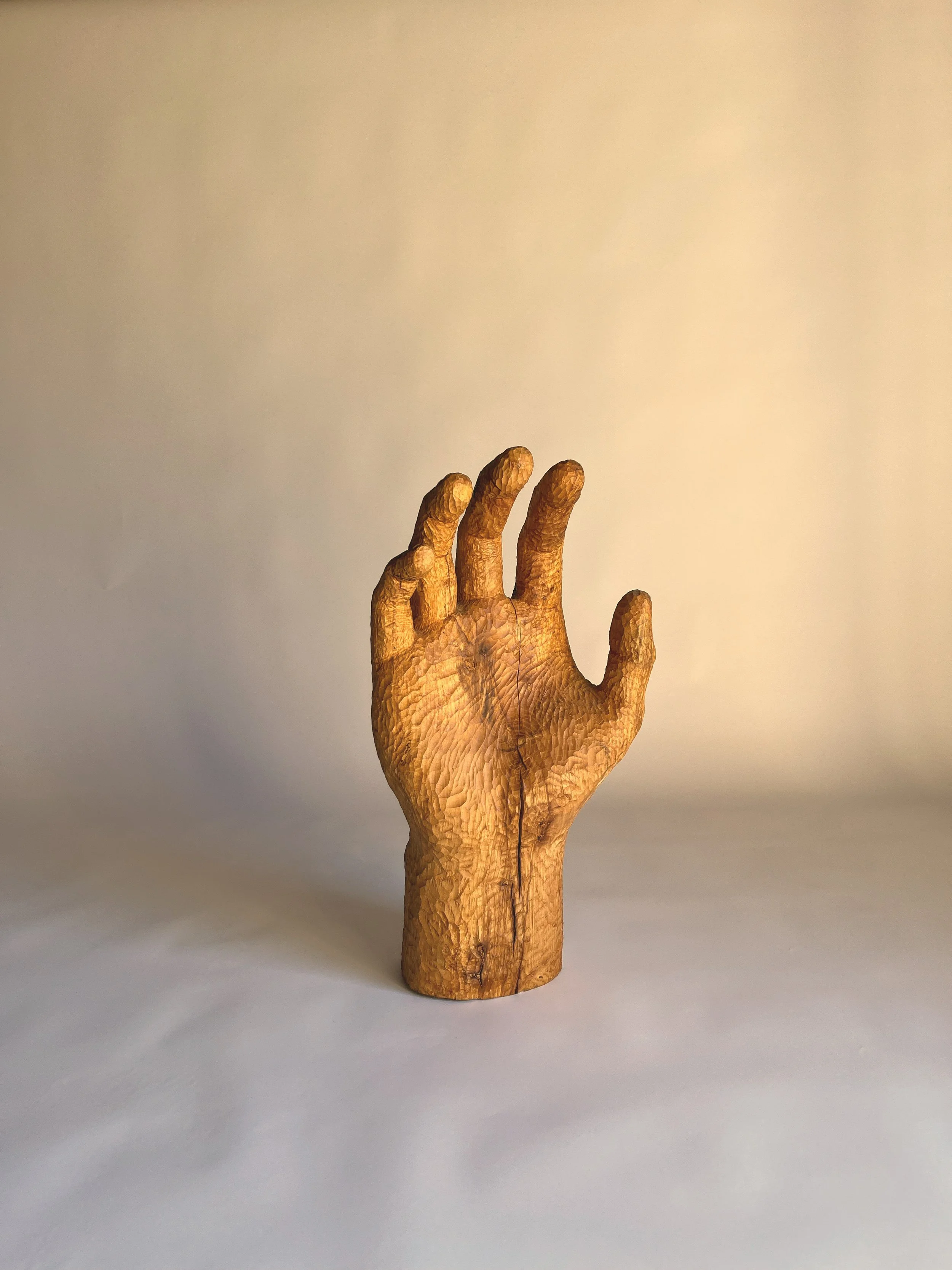 Helping hand, 2024. Ash Wood- 45 x 30 x 20 cm 
