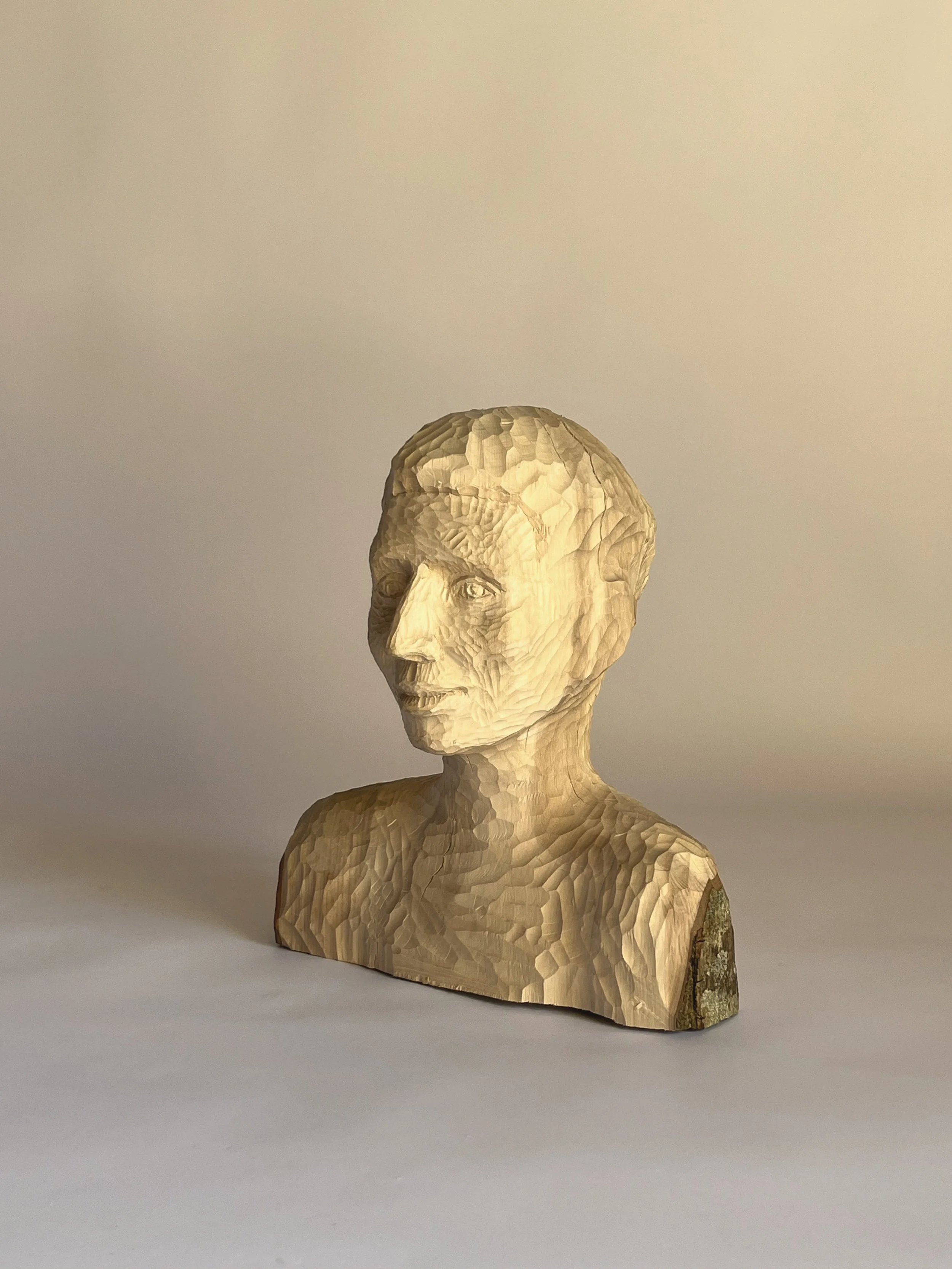 Harriet - 2026. Hornbeam - 32 x 30 x 20 cm 