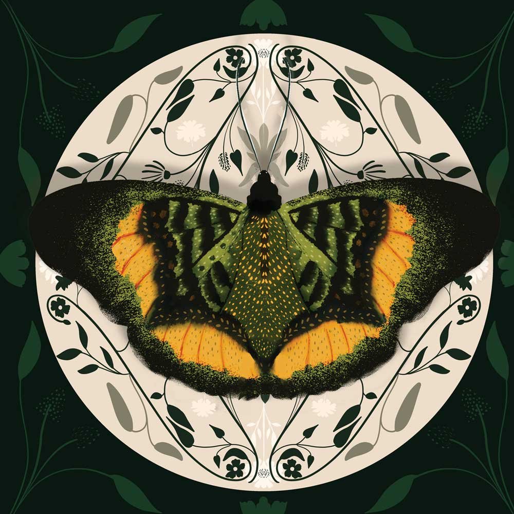 BF-Green.jpg
