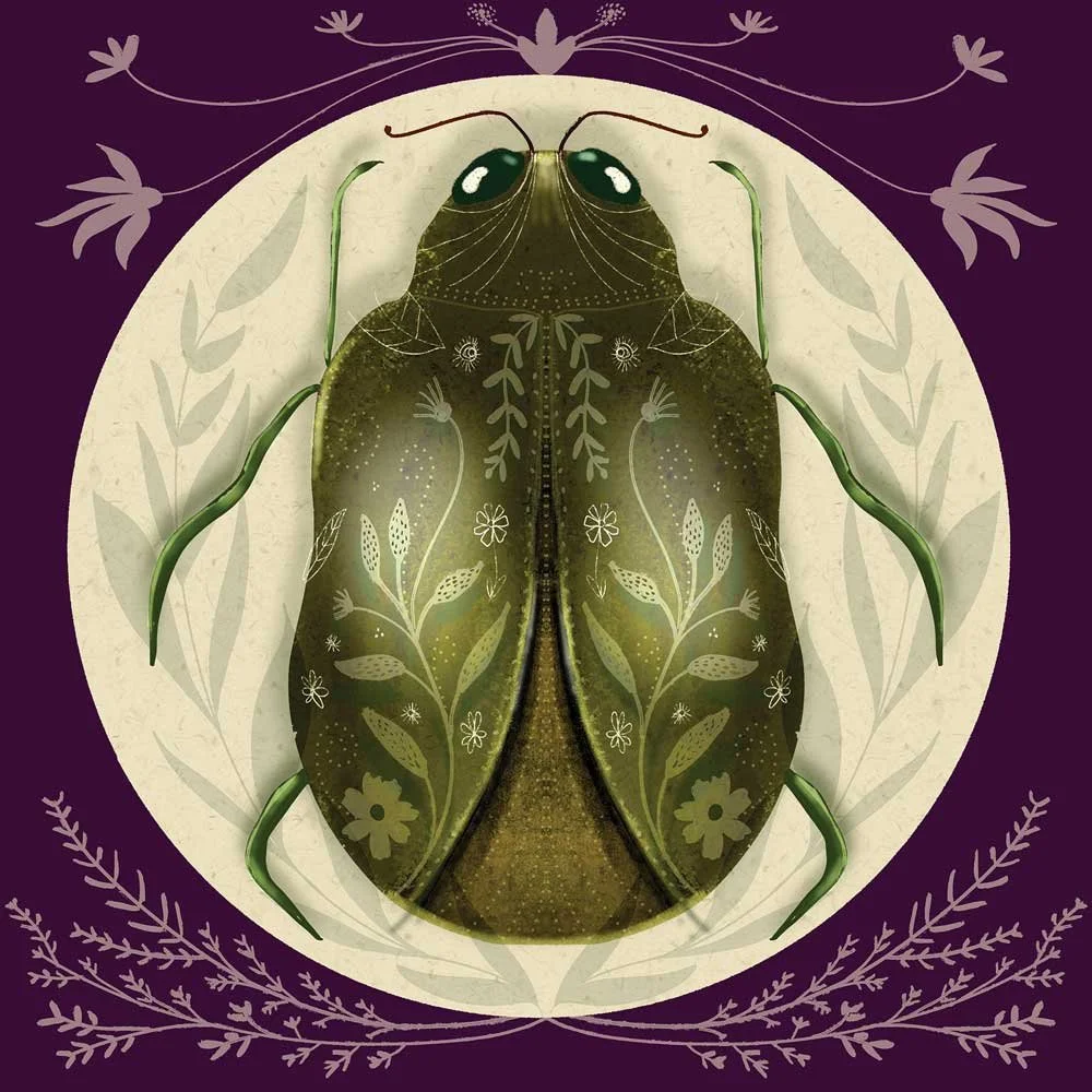 Beetle-bug.jpg