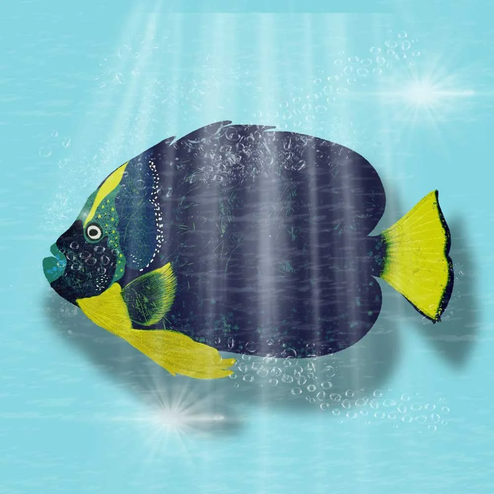 Angel-fish.jpg