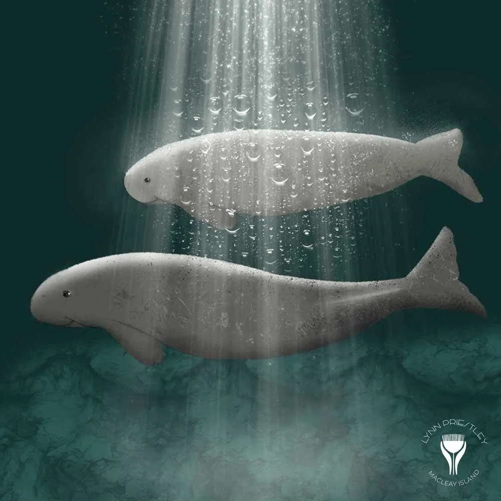 Dugongs-web-LR-Logo.jpg