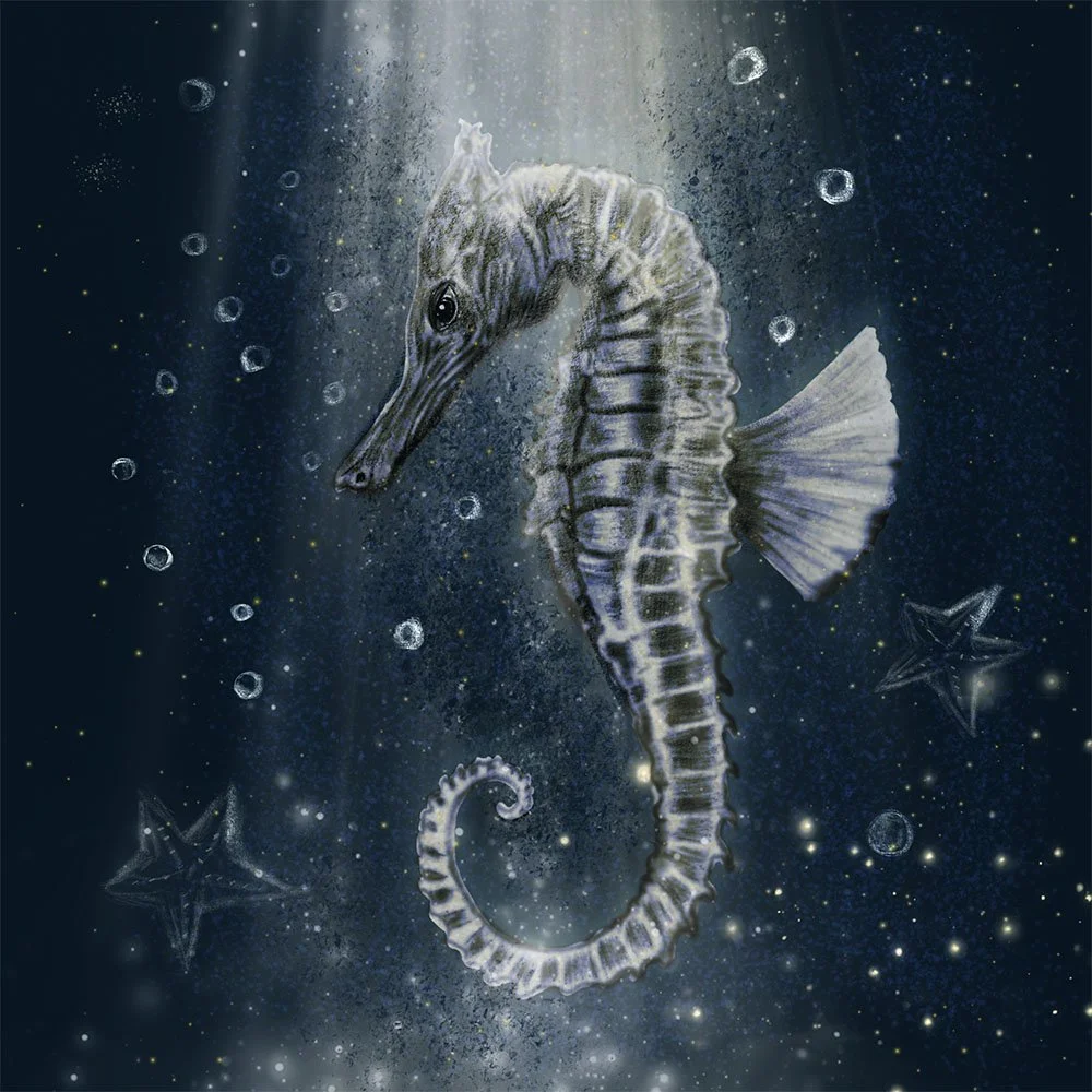 White Seahorse-Web.jpg