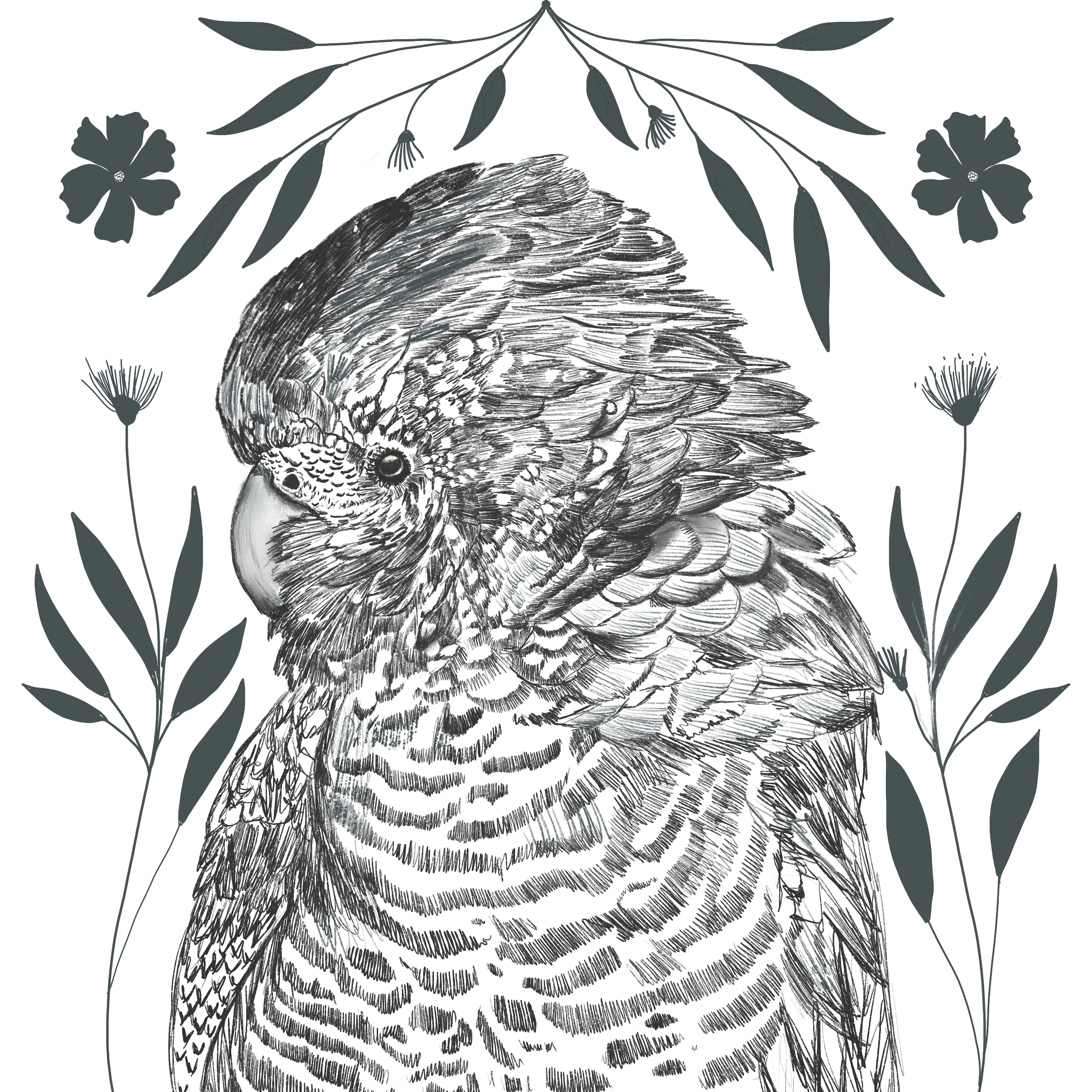 Untitled_Artwork 156.png