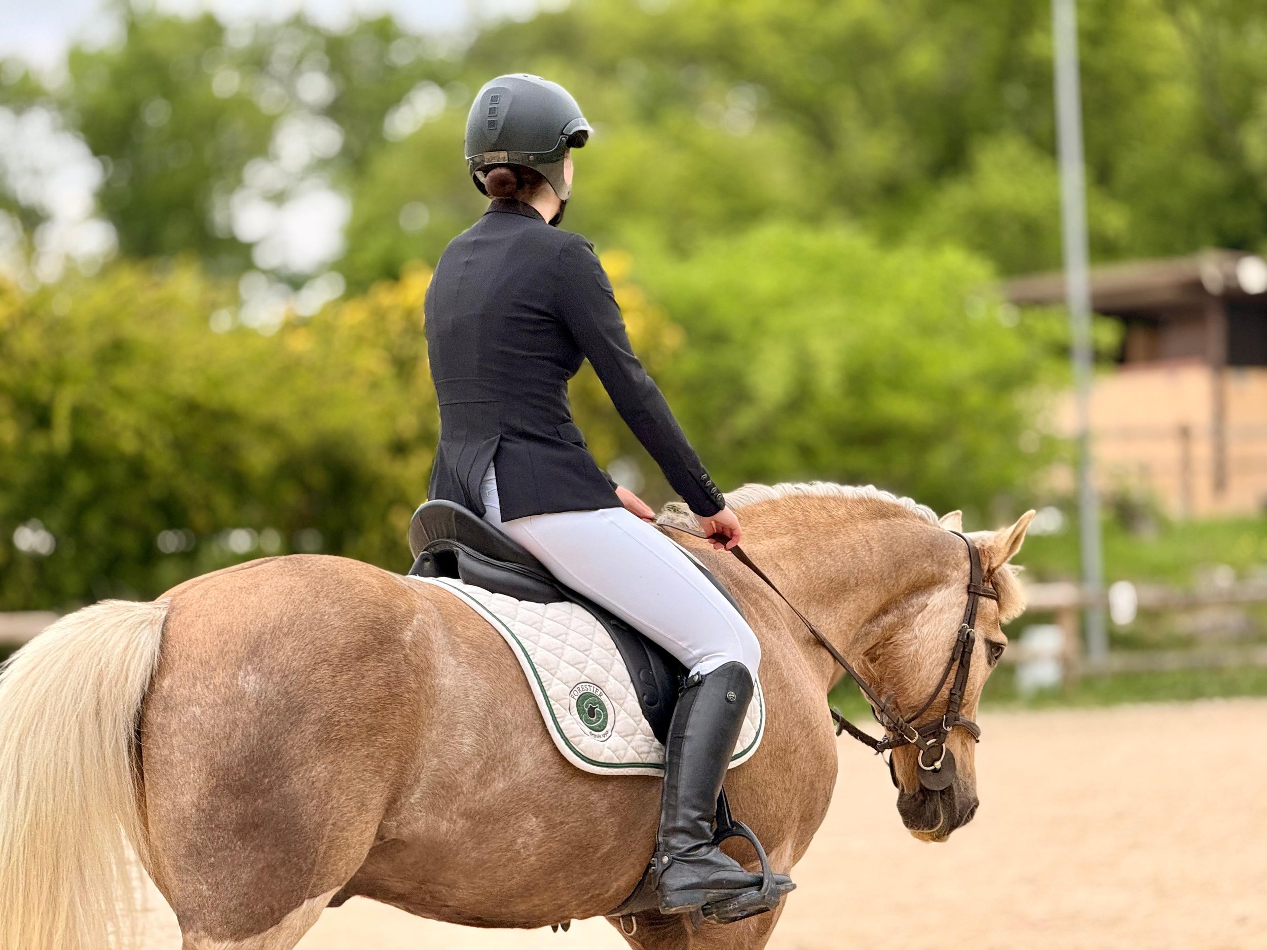 Une personne à cheval voit de derrière, portant un casque de sécurité noir, une veste noire et un pantalon blanc, dans un environnement verdoyant.